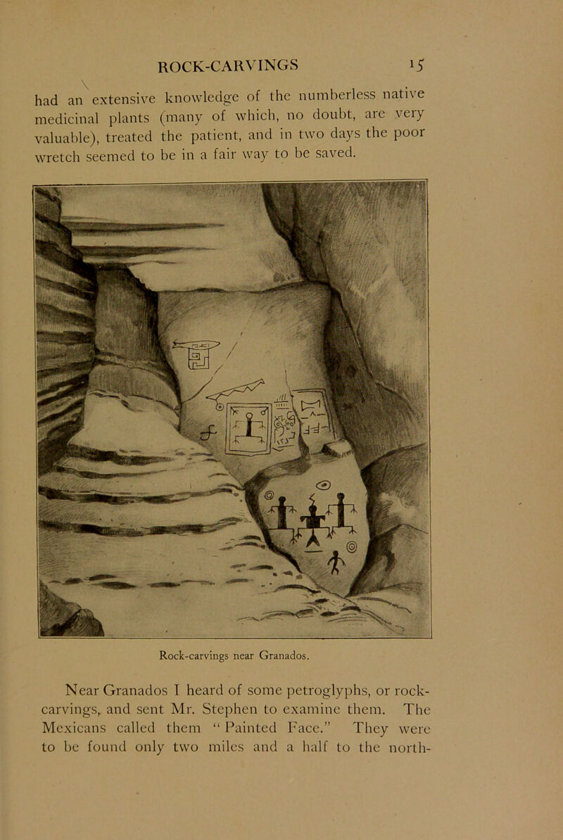 had an extensive knowledge of the numberless native medicinal plants (many of which, no doubt, aic veiy valuable), treated the patient, and in two days the poor wretch seemed to be in a fair way to be saved. Rock-carvings near Granados. Near Granados I heard of some petroglyphs, or rock- carvings,. and sent Mr. Stephen to examine them. The Mexicans called them “ Painted Face.” They were to be found only two miles and a half to the north-