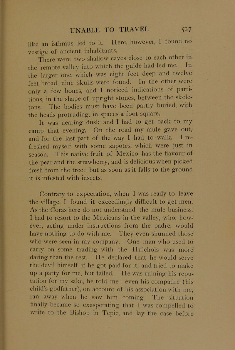 like an isthmus, led to it. Here, however, I found no vestige of ancient inhabitants. There were two shallow caves close to each other in the remote valley into which the guide had led me. In the larger one, which was eight feet deep and twelve feet broad, nine skulls were found. In the othei were only a few bones, and I noticed indications of parti- tions, in the shape of upright stones, between the skele- tons. The bodies must have been partly buried, with the heads protruding, in spaces a foot square. It was nearing dusk and I had to get back to my camp that evening. On the road my mule gave out, and for the last part of the way I had to walk. I re- freshed myself with some zapotes, which were just in season. This native fruit of Mexico has the flavour of the pear and the strawberry, and is delicious when picked fresh from the tree; but as soon as it falls to the ground it is infested with insects. Contrary to expectation, when I was ready to leave the village, I found it exceedingly difficult to get men. As the Coras here do not understand the mule business, I had to resort to the Mexicans in the valley, who, how- ever, acting under instructions from the padre, would have nothing to do with me. They even shunned those who were seen in my company. One man who used to carry on some trading with the Huichols was more daring than the rest. He declared that he would serve the devil himself if he got paid for it, and tried to make up a party for me, but failed. He was ruining his repu- tation for my sake, he told me ; even his com padre (his child’s godfather), on account of his association with me, ran away when he saw him coming. The situation finally became so exasperating that I was compelled to write to the Bishop in Tepic, and lay the case before