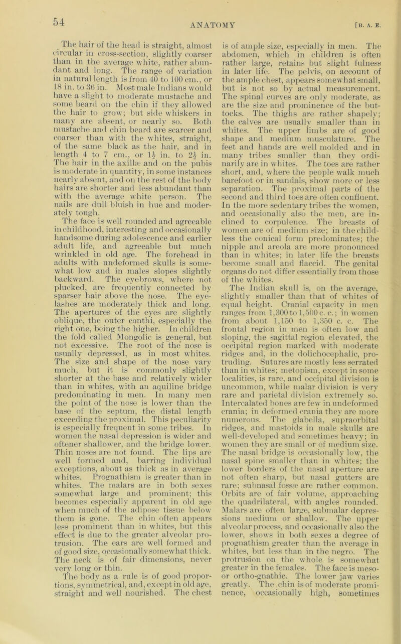 ANATO:\IY [b. a. e. rile hair of the head is straight, almost cireular in eross-section, slightly i-oarser than in the average white, rather abun- dant and long. The range of variation in natural length is from 40 to 100 cm., or IS in. to SO in. Mo.stmale Indians would have a slight to moderate mustache and some heard on the chin if they allow(‘d the hair to grow; hut side whiskers in many are alisent, or nearly so. Both mustache and chin beard ai'e scarcer and coarser than with tlu‘ whites, straight, of the sanu' black as the hail', and in length 4 to 7 cm., or li in. to in. Tlu“ hair in the axilke and on the pubis is m()(U'rat(‘ in (luantity, in some instances nearly absent, and t»n the rest of the body hairs are shorten' and less abundant than with the average white jierson. The nails are dull bluish in hue and moder- ately tough. The face is well rounded and agreeable in childhood, interesting and occasionally handsome during adolescence and earlier adult life, and agreeable but much wrinkled in old age. The forehead in adults with undeformed skulls is some- what low and in males slopes slightly backward. The eyebrows, where not plucked, are frecpiently connected by sparser hair above the nose. The eye- lashes are moderately thick and long. The apertures of the eyes are slightly oblique, the outer canthi, especially the right one, being the higher. In children the fold called Mongolic is general, but not excessive. The root of the’ nose is usually dei:)ressed, as in most whites. The size and shape of the nose vary much, ])ut it is commonly slightly shorter at the l>ase and relatively wider than in whites, with an aquiline bridge predominating in men. In many men the point of the nose is lower than the base of the septum, the distal length exceeding the ])roximal. This peculiarity is especially freciuent in some tribes. In women the nasal depression is wider and oftener shallower, and the bridge lower. Thin noses an* not found. The lips are well formed and, barring individual exceptions, about as thick as in average whites. Prognathism is greater than in wliites. The malars are in both sexes somewhat large and prominent; this becomes esjiecially apparent in old age when much of the adipose tissue below them is gone. The cldn often a|>pears U‘ss ])rominent than in whites, but this (‘ffect is due to the greater alveolar pro- trusion. The cars are well fornu'd and of good size, occasionally somewhat thick. The neck is of fair dimensions, never very long or thin. The body as a rule is of good ))roi>or- tions, symmetrical, and, except in old age, straight and well nourished. The chest is of ample size, esj)ecially in men. The abdomen, which in children is often rather large, retains but slight fulness in later life. The pelvis, on account of the ample chest, appears somewhat small, but is not so by actual measurement. Tlie spinal curves are only moderate, as are the size and prominence of the but- tocks. The thighs are rather shapely; the calves are usually smallei' than in whites. The upper iimbs are of good shape and medium musculatim'. The feet and hands are well molded and in many tribes smaller than they ordi- narily are in whites. The toes are rather short, and, where the jH‘(.)ple walk much barefoot or in sandals, show more or less separation. The jn-oximal parts of the second and third toes are often confluent. In the more sedentary ti'ibes the women, and occasionally also the men, are in- clined to corjailence. The breasts of women are of medium size; in thechild- less the conical form predominates; the nipple and areola are more jironounced than in whites; in later life the breasts become small and flaccid. The genital organs do not differ es.«entially from those of the whites. The Indian skull is, on the average, slightly smaller than that of whites of eipial height. Cranial ca])acity in men ranges from 1,200to l,o()0c. c.; in women from about 1,150 to 1,250 c. c. The frontal region in men is often low and sloping, the sagittal region elevated, the occi])ital region marked with moderate ridges and, in the dolichocephalic, ju'o- truding. Sutures are mostly less seri’ated than in whites; metopism, excejit in some localities, is ran*, and occijutal division is uncommon, while malar division is very rare and ]iarietal division extremely so. Ijitercalated bones are few in undeformed crania; in deformed crania they are more numerous. The glabella, supraorbital ridges, and mastoids in male skulls are well-develo])ed aud sometimes heavy; in women they are small or of medium size. The nasal bridge is occasionally low, the nasal si)ine smaller than in whites; the lower borders of the nasal aperture are not often sharp, hut nasal gutters are rare; subnasal fossa* are rather common. Orbits are of fair volume, a]tproai'hiug the (juadrilateral. with angles rounded. Malars are often large, submalar dejwes- sions medium or shallow. The up]x*r alveolar process, aud occasionallv al,*)o the lower, shows in both sexes a degree of prognathism greater than the average in whites, but h*ss than in the negro. The protrusion on the whole is somewhat greater in the females. The face is meso- or ortho-gnathic. The lower jaw varies greatly. The chin is of moderate promi- nence, occasionally high, sometimes