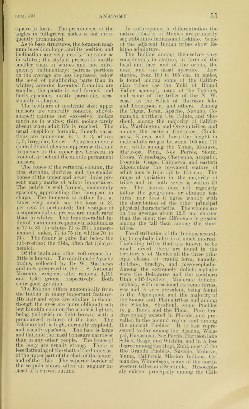 H(liuire in form. Tiie prumineuue of tlio angles in full-grown males is not infre- quently pronounced. As to base structures, the foramen mag- num is seldom large, and its position and inclination are very nearly the same as in whites; the styloid proce.'^s is mostly smaller than in whites and not infre- quently rudimentary; petrous portions on the average are less deju'essed below the level of neighboring j>arts than in whites; anterior lacerated foramina are smaller; the palate is well formed and fairly spacious, mo.stly parabolic, occa- sionally U-shaped. The teeth are of moderate size; upper incisors are ventrally concave, shovel- shaped; canines not exce.ssive; molars much as in whites; third molars rarely absent when adult life is reached. The usual cuspidory formula, though varia- tions are numerous, is 4, 4, .4, above; 5, 5, irregular, below. A suj)ernumerary conical dental element appears with some frecpiency in the upper jaw between, in front of, or behind the middle permanent incisors. The bones of the vertebral column, the ribs, sternum, clavicles, and the smaller bones of the upper and lower limbs pre- sent many marks of Tuinor importance. The pelvis is well formed, moderately spacious, approaching the Fmropean in shape. The humerus is rather flat, at times very much so; the fossa in 31 per cent is perforated; but vestiges of a supracondyloid i)roce.«s are much rarer than in whites. The humero-radial in- dex of maximum freipiency in adult males is 77 to 80 (in whites 71 to 75); humero- femoral index, 71 to 75 (in whites 70 to 74). The femur is (piite flat below the tuberosities; the tibia, often flat (platyc- nemic). Of the brain and other soft organs but little is known. Two adult male Ai)ache brains, collected by Dr W. iVIatthews and now j)reserved in the U. S. National Museum, weighed after removal 1,191 and 1,304 grams, respectively. Both show good gyration. The Eskimo differs anatomically from the Indian in many important features. His hair and eyes are similar in shacle, though the eyes are more obliipiely set; but his skin color on the whole is lighter, being yellowish or light brown, with a jironounced redness of the face. The Eskimo skull is liigh, normaily scaphoid, and usually spacious. The face is large and Hat, and the nasal bones are narrower than in any other peoj)le. The bones of the body are usuallv strong. There is less flattening of the .shaft of the humerus, of the upper part of the shaft of the femur, and of the tibia. Jhe .superior border of the scapula shows often an angular in- stead of a curved outline. In anthrf)p(jmetric differentiation the native tril)es x. of Mexico are primarily .separableinto Jndiansand Eskimo. Some of the adjacent Indian tribes show E.s- kimo admixture. T1 le Indians among themselves vary considerably in statuie, in form of the head and face, and of the orbits, the nose, and the nasal aperture. Low stature, from Kit) to 1()5 cm. in males, is found among .«ome of the Califor- nian tribes (as the Yuki of Bound Valley agency), many of the Pueblos, and .some of the tribes of the N. \V. coast, as the .Salish of Harrison lake and Thompson r., and others. Among the Tigua, Tewa, Apache, Navaho, Co- manche, northern I'te, Paiute, and Sho- shoni, among the majority of Califor- nia, Washington, and (Iregon tribes, and among the eastern Cherokee, Cliick- asaw, Kiowa, and Iowa the height in male adults ranges between lf)5 and 17U cm., while among the Yuma, IMohave, Maricojja, Pima, Nez Percy's, Sioux, Crows, Winnel)ago, Cheyenne, Arapaho, Inupiois, Osage, Chij)pewa, and ea.stern Algon<iuians the prevalent stature of adult men is from 170 to 175 cm. The range of variation in the majority of tribes and in both .sexes is within 30 cm. The stature does not regularly follow the geographic or climatic fea- tures, nor does it agree wholly with the distribution of the other principal physical characteristics. The women are on the average about 12.5 cm. shorter than the men; the difference is greater among the tall than among the short tribes. The distribution of the Indians accord- ing to cephalic index is of much interest. Excluding tribes that ar-e known to be much mixed, there are found in the territory x. of 5Iexico all the three j)rin- cipal classes of cranial form, namely, dolicho-, brachy-, and meso-cejihalic. Among the extremely dolichocephalic were the Delawares and the southern Utah cliff-<lwellers. Aloderate dolicho- cephaly, with occasional extreme forms, was anil is very prevalent, being found in the Algon(|uian and the majority of the Siouan and Plains tribes and among the Siksika, l^hoshoni, soim* Pueblos (e. g., Taos), and the Pima. Pure bra- chvcephaly existed in Florida, and pre- vaileil in the mound region ami among the ancient Pueblos. It is best repre- sented to-day among the Apache, Wala- pai, I lavasupai, Nez Perces, I larrison lake Halish, Osage, and Wichita, and in a less degree among the Hopi, Zuni, most of the Rio Orande Pueblos, Navaho, iMohave, Yuma, California .Mission Indians, Co- manche, Winnebago, many of the north- western trib('s,and Seminole. AIe.soceph- aly existed principally among the Cali-