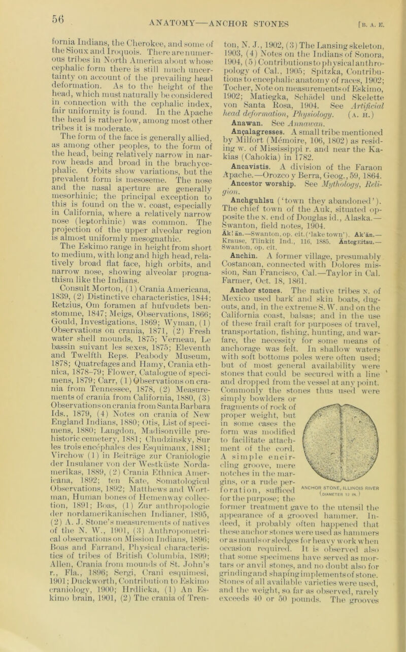 ANAT()MY ANCHOR STONES r B. A. E. toniia Indians, the C’herokee, and some of the Sioux and Irociuois. Tlno’e arennniei’- ous tribes in North Aineriea al)out whose cephalic form there is still iimch uncer- tainty on account of the prevailing' head deformation. As to the heiirlit of the head, which must naturally he considered in connection with the cephalic index, fair uniformity is found. In the Ai)ache the head is rather low, among most other tribes it is moderate. The form of the face is generally allied, as among other peoples, to the form of the head, being relatively narrow in nar- row heads and broad in the hrachyce- plialic. Orbits show variations, but the prevalent form is mesoseme. The nose and the nasal aperture are generally mei^orhinic; the princii)al exception to this is found on the w. coast, especially in California, where a relatively narrow nose (leptorhinic) was common. The projection of the upper alveolar region is almost uniformly mesognathic. The Eskimo range in height from short to medium, with long and high head, rela- tively broad flat face, high orbits, and narrow nose, showing alveolar i>rogna- thism like the Indians. Consult Morton, (1) Crania Americana, 1839,_ (2) Distinctive characteristics, 1844; Retzius, Om foramen af hufvudets ben- stomme, 1847; Meigs, Observations, 1866; Gould, Investigations, 1869; Wyman, (1) Observations on crania, 1871, (2) Fresh water shell mounds, 1875; Verneau, Le bassin suivant les sexes, 1875; Eleventh and Twelfth Reps. Peabody Museum, 1878; Quatrefages and Ilamy, Crania eth- nica, 1878-79; Flower, Catalogue of s])eci- inems, 1879; Carr, (1) Observationson cra- nia from Tennessee, 1878, (2) Measure- ments of crania from California, 1880, (3) Observationson craiua from 8anta Barl>ara Ids., 1879, (4) Notes on crania of New England Indians, 1880; Otis, List of speci- mens, 1880; Langdon, Madisonville jire- historic cemetery, 1881; Chudzinsky, 8ur les trois en(;e|)hales des Estpiimaux, 1881; Virchow (1) in Beithige znr Craniologie der Insulaner von der Westkiiste Norda- merikas, 1889, (2) Crania Ethnica Amer- icana, 1892; t(‘u Kate, Somatological Observations, 1892; .Matthews and Wort- man, Human bonesof Ilemeiiway collec- tion, 1891; Boas, (I) Zur anthropologic der nordamerikanisehen Indianer, 1895, (2) ,V. ,1. Stone’s measurenuMits of natives of the N. \y., 1901, (3) .\nthropometri- eal observationson Mission Indians, 1896; Boas and Farrand, Physical t'harai'teris- tics of tribes of British (5)lumbia. 189tl; Allen, Crania from mounds of St. John’s r., Fla., 1896; Sergi, Craiu estpiimesi, 1901; Duckworth, Contribution to Eskimo craniology, 1900; Ilrdlicka, (I) An Es- kimo brain, 1901, (2) The craina of Tren- ton, N. J., 1902, (3) The Lansing skeleton, 1903, (4) Notes on tlie Indians of 8onora, 1904, (5)Contribntionstophysicalanthro- pology of Cal., 19t)5; Spitzka, Contribu- tions t<j encephalic anatmny of races, 1902; Tocher, Note on measurementsof Eskimo, 1902; Matiegka, Hchadel und Skelette von Santa Rosa, 1904. See Artificial head deformution, Phyniology. (.\. ji.) Anawan. See Annauxm. An9alagresses. A small tribe mentioned by iUilfort (Memoire, 106, 1802) as resiil- ing w. of Mississippi r. and near the Ka- kias (Cahokia) in 1782. Ancavistis. A division of the Faraon Apache.—Orozco y Berra, Geog., 59, 1864. Ancestor -worship. See Myiholoyy, ReU- yioit. Anchguhlsu (‘town they abandoned’). The chief town of the Auk, situated op- posite thex. end of Douglas id., Alaska.— Swanton, held notes, 1904. Ak! an.—Swaiiton.oi). cit.plake town’). Ak'an.— Knuise, Tlinkit Ind., ll(j, lS8o. Antcgicrtsu,— Swanton, op. cit. Anchin. A former village, ])re.sumabiy Costanoan, connected with Dolores mis- sion, San Francisco, Cal.—Taylor in Cal. Farmer, Oct. 18, 1861. Anchor stones. The native tribes x. of iMcxico used bark and skin boats, dug- outs, and, in the c.xtremeS. W. and on the California coast, balsas; and in the use of these frail craft for purj)o.«es of travel, tran.sportation, flshing, hunting, and war- fare, the nece.ssity for some means of anchorage was felt. In shallow waters with soft bottoms poles were often used; but of most general availability were stones that could be secured with a line and dropped from the vessel at any point. Commonly the .stones thus u.«c’d w(>re simply bowldei-s or fragments of rock of proper weight, but in some cases the form was modilicd to facilitate attach- ment of the cord. A sim{lie encir- cling groove, mere notches in tlu* mar- gins, or a rude |)er- fo rat ion, snfliccil for the pur{)osc; the former treatment gave to the utensil the ap|H‘arance of a grooved hammer. In- deed, it i)robably often hai){)ened that these anchor stones wen* used as hammers or as maulsoi sledg('s for hea vy work when occasion recpiired. It is observed al.'^o that some s|H‘cimens have served as mor- tars oi' anvil stones, and no doubt also for grindingand shapingim]flementsof stone. Stoiu's ot all availabh' variidii's were used, and the weight, so far as obsei'ved, I’ari'ly e\(‘eeds 40 or 50 ])ounds. The grooves ANCHOR STONE, ILLINOIS RIVER (diameter 12 IN. )