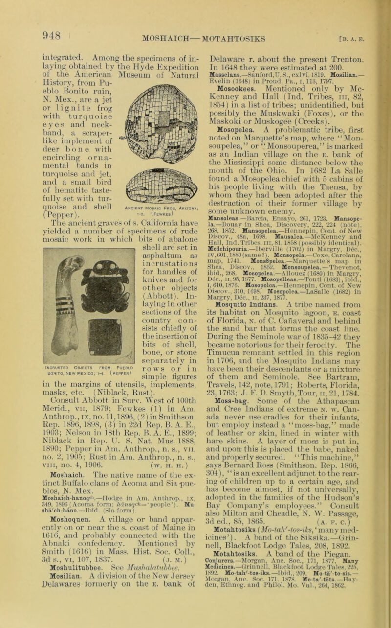 MOSH AICH— MOTAHTOSTKS [ B. A. E. integrated. Among the specimens of in- laying obtained by the Hyde Ex2)edition of the American History, from Pu- eblo Bonito ruin, N. ]Mex., are a jet or lignite fi-og with tun] noise eyes and neck- band, a scraj)cr- like implement of deer bone with encircling orna- mental bands in tuniuoise and jet, and a small bird of hematite taste- fully set with tur- quoise and shell (Pepper). The ancient graves of s. California have yielded a number of si)ecimens of rude mosaic work in which hits of ahalone shell are set in asjdialtum as incrustations for bandies of knives and for other objects (A])hott). In- laying in other sections of the country con- sists chiefly of the insertion of hits of shell, hojie, or stone separately in rows or in simple figures in the margins of utensils, implements, masks, etc. (Nihlack, Rust). Consult Abbott in .Surv. West of 100th Merid., vii, 1879; Fewkes (1) in Am. Anthrop., i.\-, no. 11,1896, (2)inSmithson. Rep. 1896, 1898, (3) in 22d Rep. B. A. K., 1903; Nelson in 18tb Rep. B. A. K., 1899; Nihlack in Hej). U. S. Nat. IMus. 1888, 1890; I’epper in Am. Anthnq)., n. s., vii, no. 2, 190.6; Rust iu Am. Anthro])., n. s., VIII, no. 4, 1906. (w. ii. n.) Moshaich. The native name of the ex- tinct Buffalo clans of Acoma and Sia ^me- blos, N. Mex. Moshaich-hanoq«i'.—Hodfro in .\m. .VnOiro))., i.\. 349, 1S90 (Acoma form; /ciMor;<4i = ‘people’). Mu- shii'ch-hano.—ll)i(l. (Sia form). Moshoquen. A village or band appar- ently on or near the s. coast of IMaine in 1616, and {irobalily connected with the Ahnaki confederacy. Mentioned by Smith (1616) in Mass. Hist. Soc. Coll., 3d s., VI, 107, 1837. (.i. m.) Moshulitubbee. See Mushnlatuh!tee. Mosilian. A division of the New ,Ier.«i>y Delawares formerly on the ic. bank of Delaware r. about the present Trenton. In 1648 they were estimated at 200. Masselans.—sfmford.U. S., cxlvi, 1819. Mosilian.— Evelin (1648) iu Proud, Pa., i, 113, 1797. Mosookees. Mentioned only bj' Mc- Kenney and Hall (Ind. Tribes, iii, 82, 1854) in a li.st of tribes; iinidentifled, but pos.sibly the Muskwaki (Foxes), or the Maskoki or Muskogee (Creeks). Mosopelea. A problematic tribe, flrst noted on JMarquette’s map, where “IMon- soujielea,” or “ Monsonperea,” is marked as an Indian village on the e. hank of the Mississi])jii some distance below the mouth of the Ohio. In 1682 La Salle found a Mosopelea chief with 5 cabins of his jieople living with the Taeiusa, by whom they had been adojited after the destruction of their former village by some unknown enemy. Mansoleas.—Harcia, Eusayo, 261, 1723. Mansope- la.—Duuay in Shea, Di.scovery, 222, 224 (note), 268, 18.')2. Mansopelea.—Heuiicpin, Gout, of New Discov., 48a, 1698. Mausalea.—McKeuuey and Hall, Iiid. Tribes, iii, 81,1858 (po.s.sibly identical). Medchipouria.—Iberville (1702) in Margry, I)C*c., IV,601,1380(same'?). Monsopela.—Coxe,Carolana, map, 1741. MonsSpelea.—Marquette’s map in Shea, Discov., 1352. Monsoupelea.—Tbevenot, ibid., 268. Mosopelea.—Allonez (1680) in Margry, De(\, 11,95,1877. Mosopelleas.—Tonti (1683), ibid., 1,610,1876. Mosopolca.—Hennepin, Gout, of New Discov., 310, 1698. Mosopolea.—Labile (1682) in Margry, Dec., ii,237, 1877. Mosquito Indians. A tribe named from its habitat on 5h)squito lagoon, e. coast of Florida, n. of C. Canaveral and behind the sand bar that forms the coast line. During the Seminole war of 1835-42 they became notorious for their ferocity. The Timucua remnant settled in this region in 1706, and the IMoscpiito Indians may have been their descendants or a mixture of them and Seminole. See Bartram, Travels, 142, note, 1791; Roberts, Florida, 23,1763; J. F. D. Smyth,Tour, ii, 21, 1784. Moss-bag. Some of the Athapascan and Cree Indians of extreme n. w. Can- ada never use cradles for their infants, but employ instead a “mo.«s-bag,” made, of leather or skin, lim'd in winter with hare skins. A layer of mo.«s is jmt in, and upon this is jiiaced the babe, naked and proiierlysecured. “This machine,” says Bernard Ro.^is (Smithson. Re]>. 1866, 304), “is an excellent adjunct to the rear- ing of children up to a certain age, and has become almost, if not universally, adojited in the families of the Hudson’s Bay Conqianv’s employees.” Consult also Milton and Cheadle, N. W. Passage, 3(1 ed., 85, 1865. (a. e. c. ) Motahtosiks (Mo-tal/-tos-iks, ‘ many med- icines’). .V band of the Siksika.—Crin- nell, Blackfoot Lodge Tales, 208, 1892. Motahtosiks. A band of the Piegan. Conjurers.—Morgan, .\nc. Soc., 171, 1877. Many Medicines.—(Jrinncll, Hlackfoot Lodge Talcs, 225, 1892. Mo-tah'-tos-iks.—Ibid..209. Mo-ti'-to-sis.— Morgan, Anc. .Soc. 171, 1378. Mo-ta'-tots.—Hay- den, Etbnog. and Philol. Mo. Val., 264,186‘2, Museum of Natural Ancient mosaic Frog, Arizona; 1-2. (fewkes) 1 INCRUSTED Objects from pueblo Bonito, NEW MEXICO; i-4. (pepper)