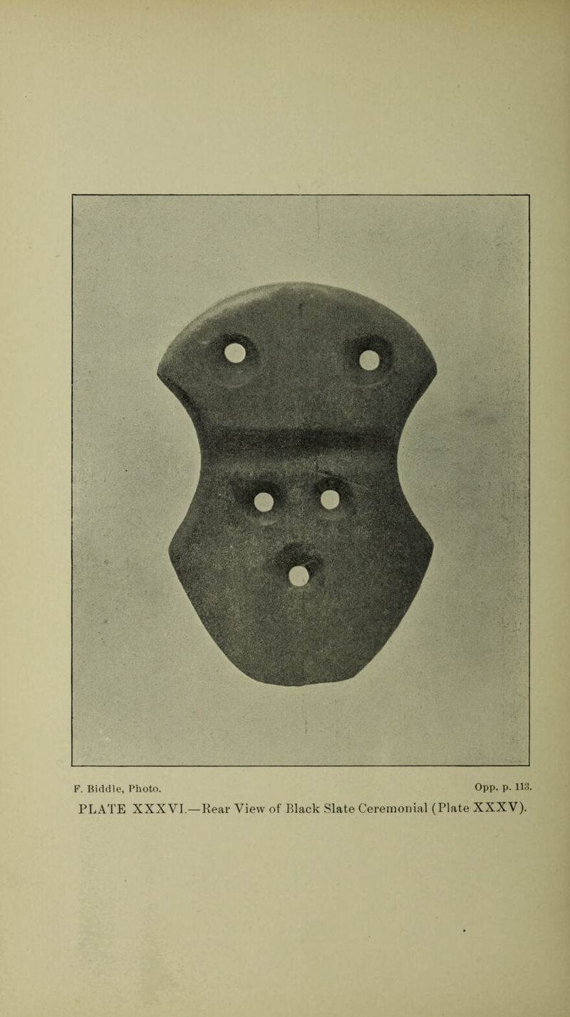 F. Biddle, Photo. 0pp. p. 113. PLATE XXXVI.—Rear View of Black .Slate Ceremonial (Plate XXXV).