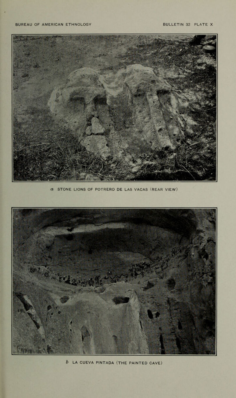 a STONE LIONS OF POTRERO DE LAS VACAS (REAR VIEW) t LA CUEVA PINTADA (THE PAINTED CAVE)