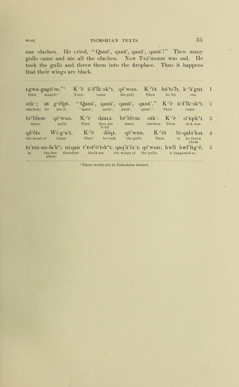 one olachon. He eried, “Qana', (janii', (jana', (jana'! Then many jrulls came and ate all the olachen. Now Txa'msEm was sad. He took the gulls and threw them into the tireplace. Thus it happens that their wings are black. Lgwa-gagu'm.”‘ K 'e a'd ’ik-sk'-L qe'wun. K’et ha'ts’iL k-’ii'guL 1 little seagull. Then came the gull. Then he bit one sfik'; at g'eipt. “ Qana' , (janil', qanii', qanii'.’’ K-’e n' d’ik-sk''L y olachen; he ate it. yanii', qanii', qana', qaiiii'.” Then came he'ldEin t]c'wun. K-'e dzaLi. he'ldKin ,sak'. K-’e sI'Epk“l. 3 many gulls. Then they ate it all many olachen. Then sick was (|a'dts Wl-g’a't. K‘'e <o qe'wun. K 'et lo -qalu'ksL 4 the heart of Giant. Then he took the gulls. Then in he threw them ts'Kiu-an-hi'k*'; iiLqan t’Est’o'tsk“L qaq'a'ixT. qe'wun; hwil hwi'ltg'e. 5 in the fire- therefore black are the wings of the gulls; it happened so. place;