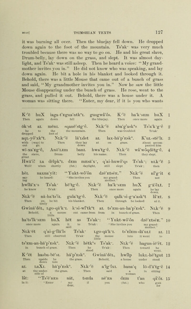 it wiis burning all over. Then the bluejay fell down. He dropped down again to the foot of the mountain. Ts’ak' was very much troubled because there was no way to go on. He and his great slave, Drum-belly, lay down on the grass, and slept. It was almost day- light, and Ts'ak' was still asleep. Then he heard a voice: “ My grand- mother invites you in.” He did not know who was speaking, and lay down again. He bit a hole in his blanket and looked through it. Behold, there was a little Mouse that came out of a bunch of grass and said, *‘My grandmother invites you in.” Now he saw the little Mouse disappearing under the bunch of grass. He rose, went to the grass, and pulled it out. Behold, there was a house under it. A woman was sitting there. “Enter, mj- dear. if it is \mu who wants K-’e huX iaga-f Egua'ntkL gusgwa'os. K-’e ha'k-sEm huX 1 Then again down feil the bluejay. Then once more again ok-st aL luenL sqane'stg-e. NLk-’e aba'g’ask“; s Ts’a'k-g-e 2 he to dropped the the mountain, foot of Then was troubled Ts’ak- aqL-3-o'xk'‘t. NLk-’e la'Ldet aL lax-ha'p’Esk“. K’uL-ste'lL 3 with- (way) to out go. Then they lay down at on grass. About accom- panied him wI-xa'Eg-e, Atio'leiu banL hwa'tg-e. NYk-’e wa'w6qdetg-e. 4 the slave, great Drum- beily his name. Then they slept. Hwii'i! La Well! Avhen shortly hei. say- ing hwila'x’s he knew NLk-’e Then naxna'3'it: he heard: (fut.) daylight, Yukt-wo'on “ She invites you q’ai-huwo'qs Ts’ak-: ni.k-’e 5 still slept Ts’ak-; then dze'EtscE.’’ NLk-’e ni'g-it 6 my grand- mother.” Then not Ts’ak- Ts’ak- nii-ha'ts'iL en- he bit tirelv he'tg'e. said. gula'tg’e. his blanket. NLk-’e Then NLk-’ Then ha'k-sEin once more huX again qalk-si-g-a'ask''t through he looked Gwina'deL, Lgo-qa'k'L k-si-wi'tkt aL ts’Em-an-ha'p’Esk“. Behold, a mouse out came from from in bunch of grass. little ha'ts'lk-sEm huX once more again g-a'eLt. 7 he lay down. la'Et. 8 at it. NLk-’e 9 Then het it said Ni.k-et Then q'ai-g-ila'ls still observed as to Ts’ak- Ts’ak• Ts’ak- T.s’ak•: “Yukt-wo'on “She invites you dze'EtscE.’’ 10 my grand- mother.” ts’Em-an-ha'p'Esk“. in bunch of gra.ss. Then Lgo-qa'k-L the mouse little hetks Ts’ak-. T.s’ak-. ts'ElEin-da'uLt an into it went to he stood K-’et hasba-be'sL Then upside he down tore ai. LaXi, ha'p'Esk. at the under- the gra.ss. side of lat: “Ts'e'iiEn in it: “Enter ha'p’Esk. the gra.ss. Gwina'deL, Behold, nat, my dear, NLk-’e Then tsEda if a'lg-ixL said ne'Eii you NLk-’e Then hwilp a house hana'q 11 hagun-ie'et. 12 a woman toward he went. lulvL-he'tgut 13 under stood lo-d’a'tg-e 1-1 in .sitting dEin (fut.) fan who (Itl'oL 15 goes for