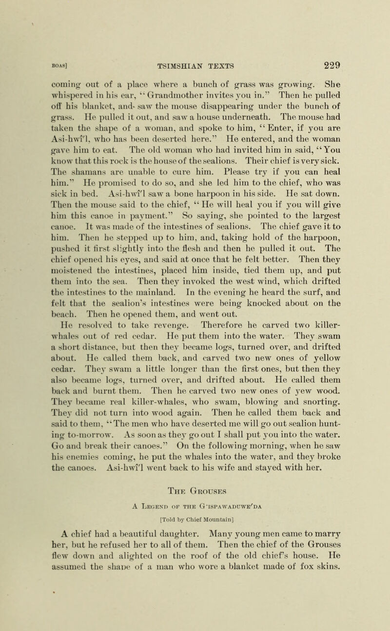coining out of a place where a bunch of grass was growing. She whi.spered in his ear, “ Gi'andinother invites 3'ou in.” Then he pulled oil' his blanket, and* saw the mouse disappearing under the bunch of grass. He pulled it out, and saw a house underneath. The mouse had taken the shape of a woman, and spoke to him, “Enter, if you are Asi-hwi'l, who has been deserted here.” He entered, and the woman gave him to eat. The old woman who had invited him in said, “You know that this rock is the house of thesealions. Their chief is very sick. The shamans are unable to ciu'e him. Please try if you can heal him.” He promised to do so, and she led him to the chief, who was sick in bed. Asi-hwi'l .saw a bone harpoon in his side. He sat down. Then the mouse said to the chief, “ He will heal you if jmu will give him this canoe in payment.” So saying, she pointed to the largest canoe. It was made of the intestines of sealions. The chief gave it to him. Then he stepped up to him, and, taking hold of the harpoon, pushed it first slightly into the flesh and then he pulled it out. The chief opened his eyes, and .said at once that he felt better. Then they moistened the intestines, placed him inside, tied them up, and put them into the sea. Then they invoked the west wind, which drifted the intestines to the mainland. In the evening he heard the surf, and felt that the sealion’s intestines were being knocked about on the beach. Then he opened them, and went out. He resolved to take revenge. Therefore he carved two killer- whales out of red cedar. He put them into the water. They swam a short distance, but then they became logs, turned over, and drifted about. He called them back, and carved two new ones of yellow cedar. They swam a little longer than the first ones, but then they also became logs, turned over, and drifted about. He called them back and burnt them. Then he carved two new ones of yew wood. They became real killer-whales, who swam, blowing and snorting. Thev did not turn into wood again. Then he called them back and said to them, “The men who have deserted me will go out sealion hunt- ing to-morrow. As soon as they go out I shall put you into the water. Go and break their canoes.” On the following morning, when he saw his enemies coming, he put the whales into the water, and they broke the canoes. Asi-hwi'l went back to his wife and stayed with her. The Grouses A Legend of the G’ispawaduwe'da [Told by Chief Mountain] A chief had a beautiful daughter. Many jmung men came to marry her, but he i-efused her to all of them. Then the chief of the Grouses flew down and alighted on the roof of the old chief’s house. He assumed the sliaue of a man who wore a blanket made of fox skins.
