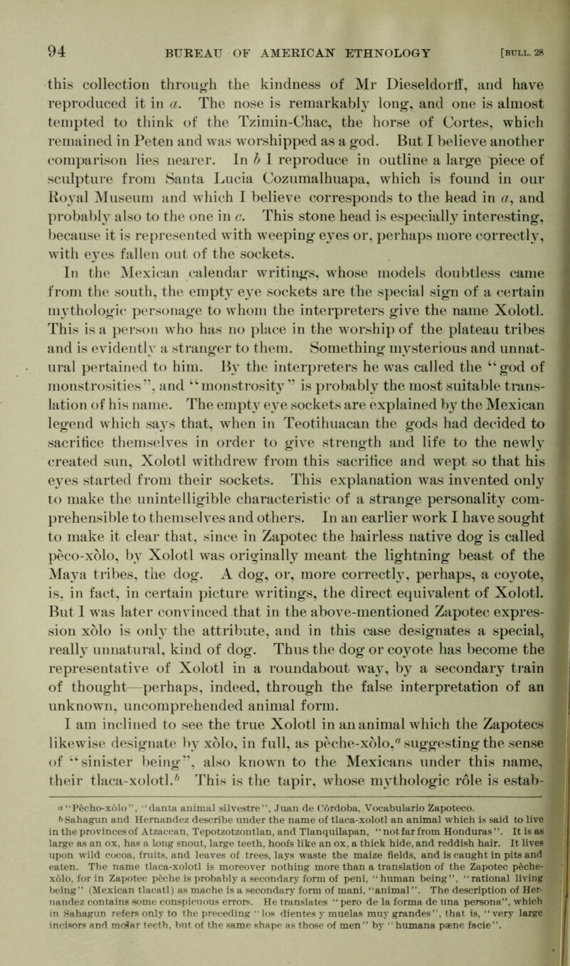 this collection through the kindness of Mr Dieseldorff, and have reproduced it in a. The nose is remarkably long, and one is almost tempted to think of the Tzimin-Chac, the horse of Cortes, which remained in Peten and was worshipped as a god. But I believe another comparison lies nearer. In b I reproduce in outline a large piece of sculpture from Santa Lucia Cozumalhuapa, which is found in our Royal Museum and which I believe corresponds to the head in a, and probably also to the one in c. This stone head is especially interesting, because it is represented wffth weeping eyes or, perhaps more correctly, with eyes fallen out of the sockets. In the Mexican calendar writings, whose models doubtless came from the south, the empty eye sockets are the special sign of a certain mythologic personage to whom the interpreters give the name Xolotl. This is a person who has no place in the worship of the plateau tribes and is evidently a stranger to them. Something mysterious and unnat- ural pertained to him. By the interpreters he was called the “god of monstrosities”, and “monstrosity” is probably the most suitable trans- lation of his name. The empty eve sockets are explained by the Mexican legend which says that, when in Teotihuacan the gods had decided to sacrifice themselves in order to give strength and life to the newly created sun, Xolotl withdrew from this sacrifice and wept so that his eyes started from their sockets. This explanation was invented only to make the unintelligible characteristic of a strange personality com- prehensible to themselves and others. In an earlier work I have sought to make it clear that, since in Zapotec the hairless native dog is called peco-xolo, by Xolotl was originally meant the lightning beast of the Maya tribes, the dog. A dog, or, more correct^, perhaps, a coyote, is, in fact, in certain picture writings, the direct equivalent of Xolotl. But I was later convinced that in the above-mentioned Zapotec expres- sion xolo is onl3r the attribute, and in this case designates a special, really unnatural, kind of dog. Thus the dog or coyote has become the representative of Xolotl in a roundabout way, by a secondary train of thought—perhaps, indeed, through the false interpretation of an unknown, uncomprehended animal form. I am inclined to see the true Xolotl in an animal which the Zapotecs likewise designate by xolo, in full, as peche-xolo,a suggesting the sense of “sinister being”, also known to the Mexicans under this name, their tlaca-xolotl.h This is the tapir, whose mythologic role is estab- a “Pecho-xölo”, “ danta animal silvestre”, Juan de Cördoba, Vocabulario Zapoteco. b Sahagun and Hernandez describe under the name of tlaca-xolotl an animal which is said to live in the provinces of Atzaccan, Tepotzotzontlan, and Tlanquilapan, ‘ ‘ not far from Honduras ”. It is as large as an ox, has a Long snout, large teeth, hoofs like an ox, a thick hide, and reddish hair. It lives upon wild cocoa, fruits, and leaves of trees, lays waste the maize fields, and is caught in pits and eaten. The name tlaca-xolotl is moreover nothing more than a translation of the Zapotec pöche- xölo, for in Zapotec p£che is probably a secondary form of peni, “human being”, “rational living being” (Mexican tlacatl) as mache is a secondary form of mani, “animal”. The description of Her- nandez contains some conspicuous errors. He translates “ pero de la forma de una persona”, which in Sahagun refers only to the preceding “los dientes y muelas muygrandes”. that is, “very large incisors and moflar teeth, but of the same shape as those of men” by “ humana psene facie”.