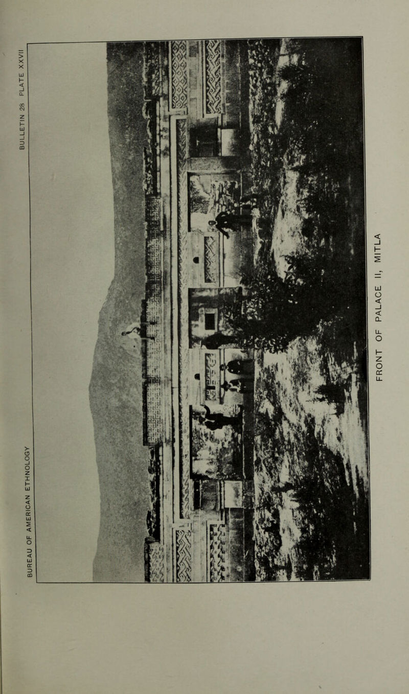 BUREAU OF AMERICAN ETHNOLOGY