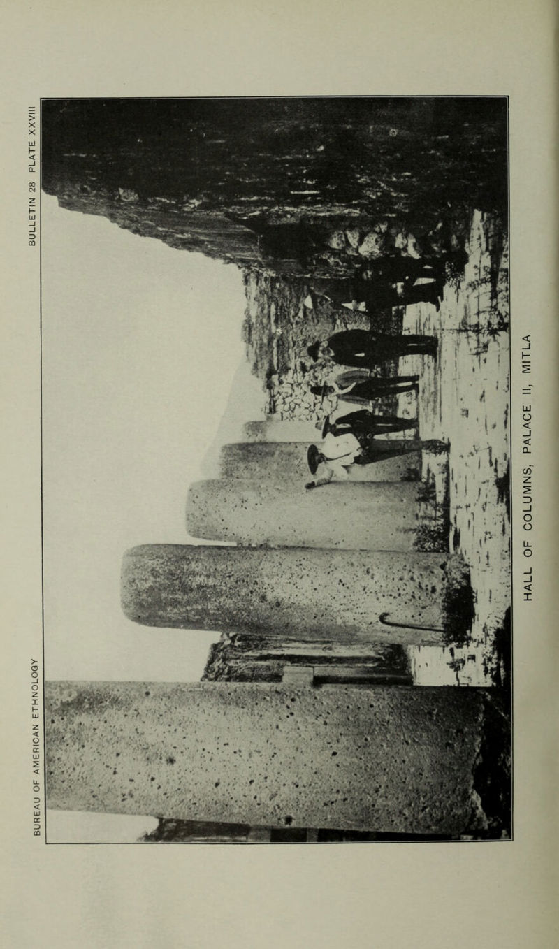 HALL OF COLUMNS, PALACE II, MIT LA