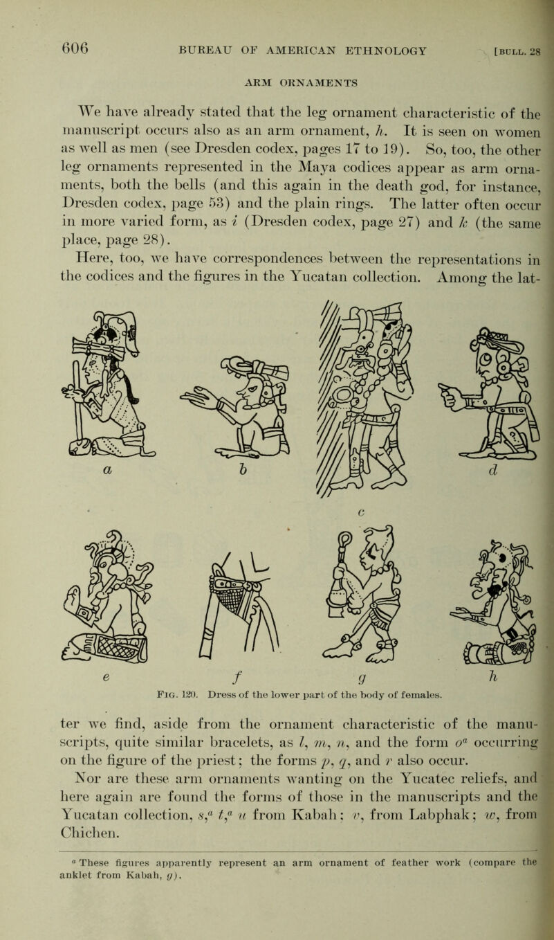 ARM ORNAMENTS We have already stated that the leg ornament characteristic of the manuscript occurs also as an arm ornament, h. It is seen on women as well as men (see Dresden codex, pages IT to 19). So, too, the other leg ornaments represented in the Maya codices appear as arm orna- ments, both the bells (and this again in the death god, for instance, Dresden codex, page 53) and the plain rings. The latter often occur in more varied form, as i (Dresden codex, page 27) and k (the same place, page 28). Here, too, we have correspondences between the representations in the codices and the figures in the Yucatan collection. Among the lat- Fig. 120. Dress of the lower part of the body of females. ter we find, aside from the ornament characteristic of the manu- scripts, quite similar bracelets, as Z, m, n, and the form oa occurring on the figure of the priest; the forms p, <7, and r also occur. Nor are these arm ornaments wanting on the Yucatec reliefs, and here again are found the forms of those in the manuscripts and the Yucatan collection, s,a t,a u from Kabah; u, from Labphak; w, from Chichen. “These figures apparently represent an arm ornament of feather work (compare the anklet from Kabah, g).