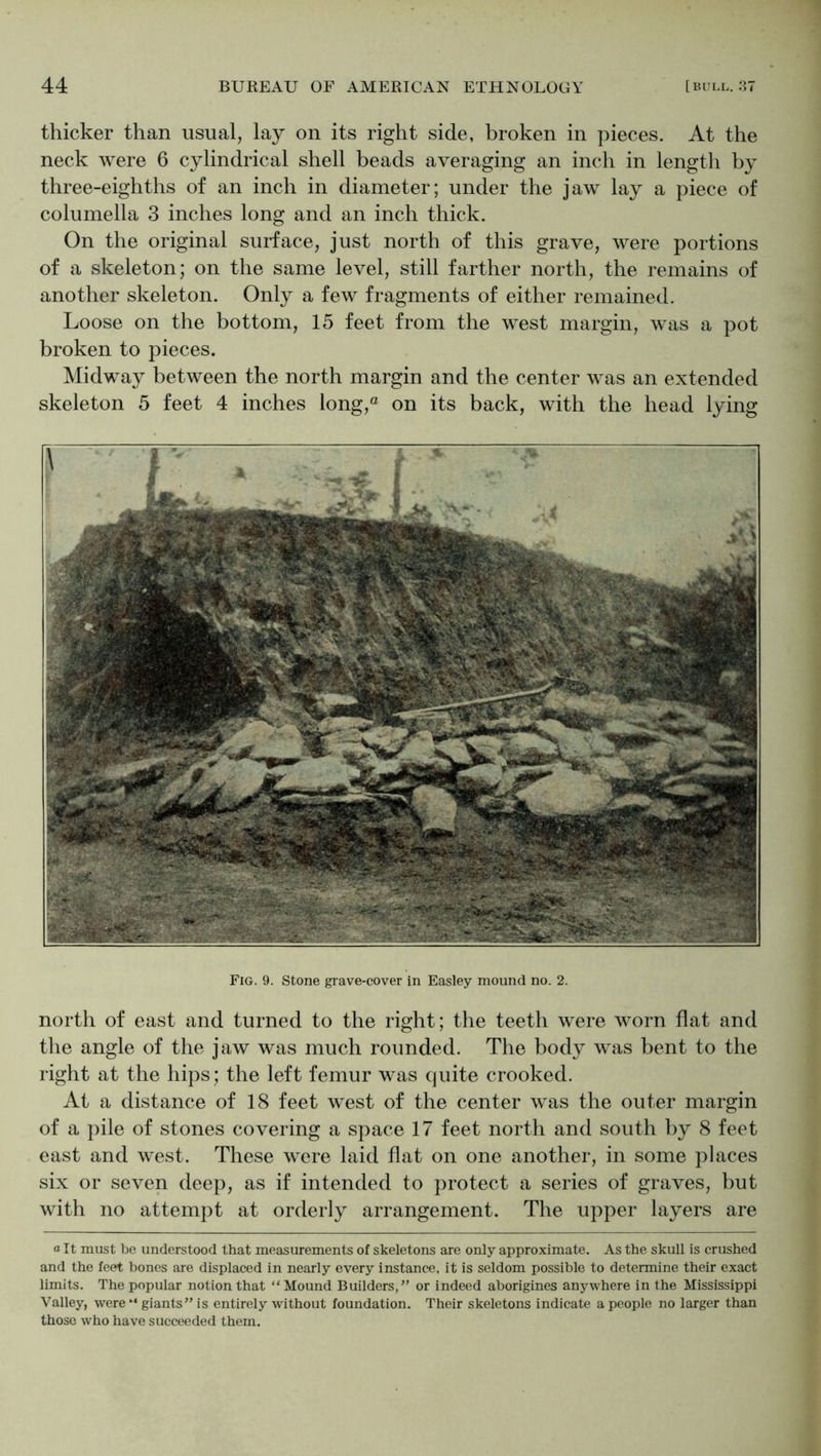 thicker than usual, lay on its right side, broken in pieces. At the neck were 6 cylindrical shell beads averaging an inch in length by three-eighths of an inch in diameter; under the jaw lay a piece of columella 3 inches long and an inch thick. On the original surface, just north of this grave, were portions of a skeleton; on the same level, still farther north, the remains of another skeleton. Only a few fragments of either remained. Loose on the bottom, 15 feet from the west margin, was a pot broken to pieces. Midway between the north margin and the center was an extended skeleton 5 feet 4 inches long,® on its back, with the head lying Fig. 9. Stone grave-cover in Easley mound no. 2. north of east and turned to the right; the teeth were worn flat and the angle of the jaw was much rounded. The body was bent to the right at the hips; the left femur was quite crooked. At a distance of 18 feet west of the center was the outer margin of a pile of stones covering a space 17 feet north and south by 8 feet east and west. These were laid flat on one another, in some places six or seven deep, as if intended to protect a series of graves, but with no attempt at orderly arrangement. The upper layers are a It must be understood that measurements of skeletons are only approximate. As the skull is crushed and the feet l)ones are displaced in nearly every instance, it is seldom possible to determine their exact limits. The popular notion that “Mound Builders, or indeed aborigines anywhere in the Mississippi Valley, were “ giants is entirely without foundation. Their skeletons indicate a people no larger than those who have succeeded them.