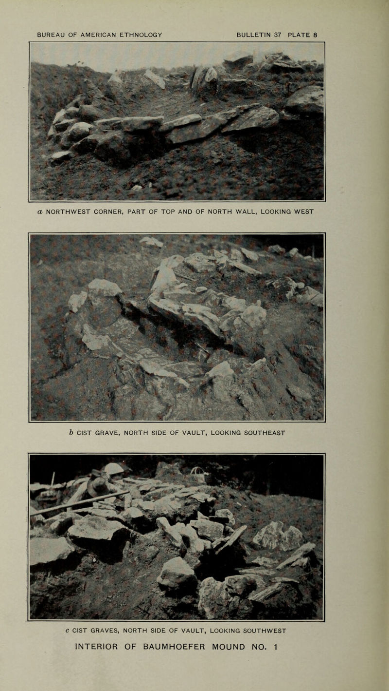 a NORTHWEST CORNER, PART OF TOP AND OF NORTH WALL, LOOKING WEST b CIST GRAVE, NORTH SIDE OF VAULT, LOOKING SOUTHEAST C CIST GRAVES, NORTH SIDE OF VAULT, LOOKING SOUTHWEST INTERIOR OF BAUMHOEFER MOUND NO. 1