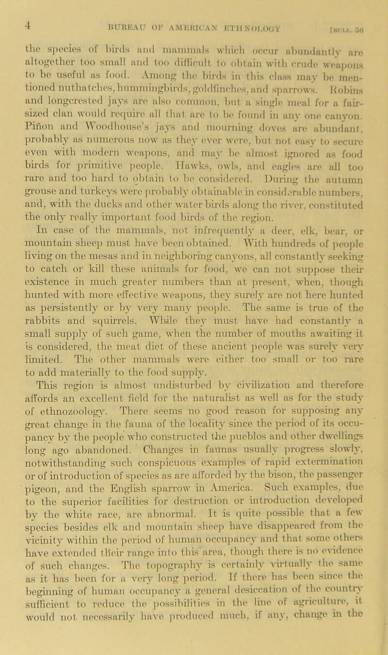 UUKKAU OK AMKIUCAN K/I'll XOl.OCiV lisri.i.. M tlu' specie's oi birils iiiid maminnls wliicti octair iiliuiidaiitly ai'c* altogether too small and too diflicult to obtain with crude weajams to be useful as food. Among the birds in this class ma}' la* men- tioned nutbatcbes,lmmmingbirds,goldfincbes,and sparrows. Robins and longcrested jays are also common, but a single, meal for a fair- sized clan would reepure all that are to ])c found in an\' one canyon. Pinon and oodhouse’s jays and mourning dove.s are abundant, ])robably as numerous now as they ever were*, Init not easy t<; secuiv even with modern wc'apons, and ma}' 1)(> almost igmn-ed as food bh-ds for ])rimitive ]>eojde. Hawks, owls, and eagles ai-e all too rare and too hard to obtain to be considered. During the autumn grouse and turkeys wei’e ])robably obtainal)le in consid.'‘rable numbers, and, vdth the ducks and other water birds along the i-iver, constituted the only really important food bh-ds of the region. In case of the mammals, not infrequently a deer, elk, bear, or mountam sheej) must have beenobtamed. With hundreds of ])eo])le Imng on the mesas and in neighboring caii3mns, all constantly seeking to catch or kill these animals for food, we can not suppose their existence in much greater nundjers than at jn-esent, when, though hunted with more effective weaj)ons, they surely are not here hunted as persistently or bj' ver}' inanj' people. The same is true of the rabbits and squu-rels. While they must have had constanth* a small su])])ly of such game, when the number of mouths awaiting it is considered, the meat diet of these ancient people was sureh* ven* limited. The other mammals were either loo small or too rare to add materiall}' to the food sup])ly. This region is almost undisturbed b}' civilization and therefore affords an excellent field for the naturalist as well as for the stiuh' of ethnozoolog}. There seems no good reason for supposing ain- great change in the fauna of the localitj since the period of its occu- panev by the jieople who constructed the jmeblos and other dwellings long ago abandoned. ' Changes in faunas usualh progress slowh', notwithstanding such conspicuous exani])les of rapid extermination or of introduction of s])ecies as are afforded by the bison, the j)assenger pigeon, and the English sparrow m America. Such examples, due to the superior facilities for destruction or introduction develoi)cd by the white race, are abnormal. It is quite possible that a few species besides elk and mountain sheep have disappeared from the vicinity withm the period of human occupancy and that some others have extended tlieii- range into this area, though there is no evidence* of such changes. 4410 topography is certaiuh' virtualh' the same as it has been for a A’er}'' long jieribd. If there has been since the beginning of human occu])aiuy a general desiccation of the countrv sufheient to reduce the |)ossibilities in the line of agricidture, it woidd not lu'cessaril^' have pi-oduced much, if an_v, change in the