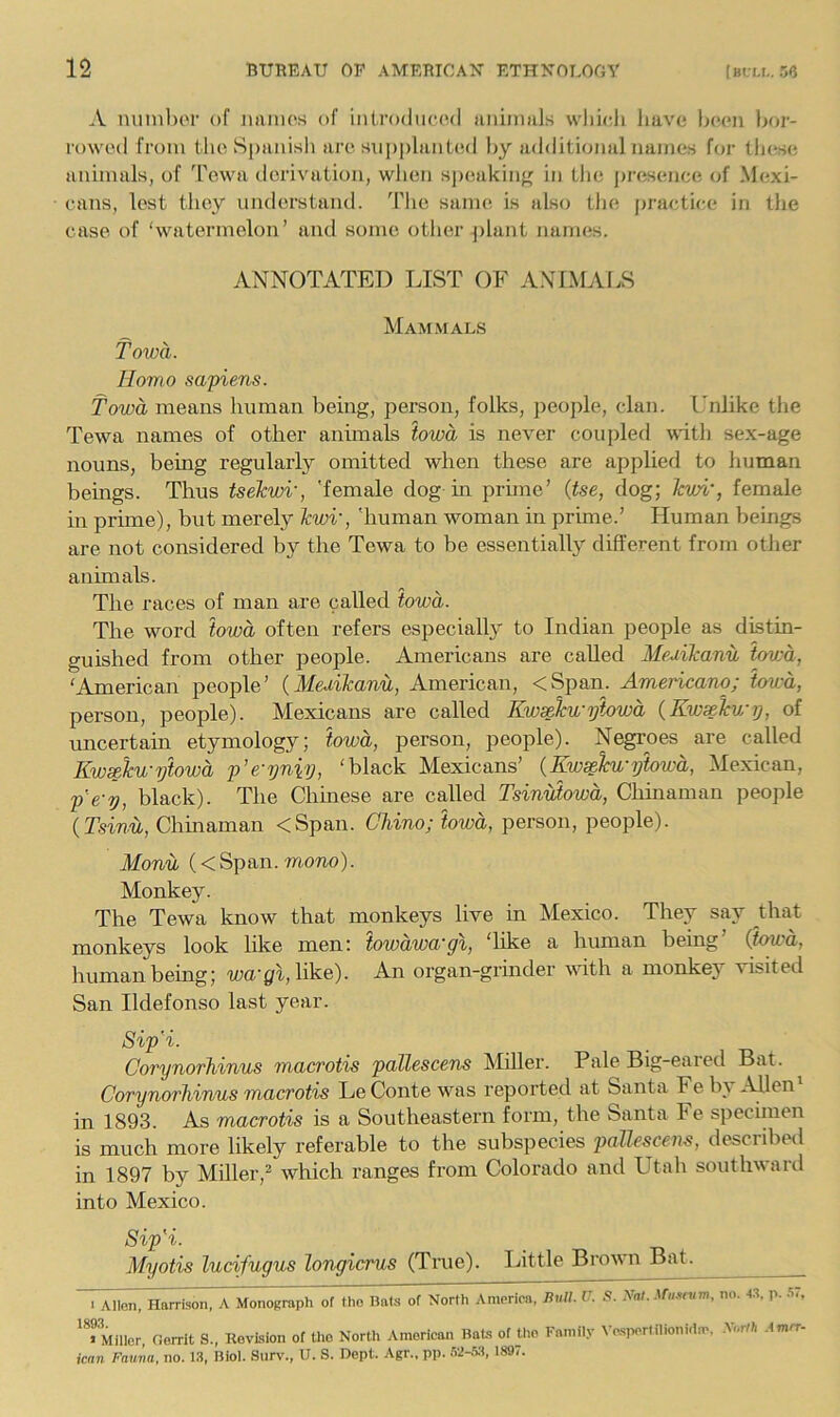 A nuinhor of iiamos of inirodiicod animals wldoli have been t>or- rowed from the Spanish are su|)planted by additional names for these animals, of Tewa ilcrivation, when sj)eakiiif' in tin; presence of Mexi- cans, lest they understand. The same is also the practice in the ease of ‘watermelon’ and some other plant names. ANNOTATED LIST OF ANIMALS Mam.mals Towa. Homo sapiens. fowa means human being, person, folks, people, clan. Unlike the Tewa names of other animals iowa is never coupled with sex-age nouns, being regularly omitted when these are applied to human beings. Thus tseJcvn', 'female dog in prime’ {tse, dog; hwi‘, female in prime), but merely Tcwv, 'human woman in prime.’ Human behigs are not considered by the Tewa to be essentially different from other animals. The races of man are called towa. The word towa often refers especially to Indian people as distin- guished from other people. Americans are called Meuikanii tov:a, ‘American people’ {Medikanu, American, <Span. Americano; iowa, person, people). Mexicans are called Kwxlcu'yiowa {Kwcckwr), of imcertain etymology; iowa, person, people). Negroes are called Kw^ku-ptowa p’e-yniy, ‘black Mexicans’ (Kw^hi'yiowa, Mexican, p'e'y, black). The Chinese are called Tsinuiowa, Chinaman people {Tsinu, Chinaman <Span. CUno; iowa, person, people). Monu (<Span. mono). Monkey. The Tewa know that monkeys live in Mexico. They say that monkeys look like men; iowawa'gl, ‘like a human being’ {iowa, human being; ma’p!, like). An organ-grinder with a monkey visited San Ildefonso last year. Sip'i. CorynorJiinus macvotis pallescens Miller. Pale Big-eaied Bat. Corynorhinus macrotis Le Conte was reported at Santa Fe b^ Allen in 1893. As macrotis is a Southeastern form, the Santa Fe specimen is much more likely referable to the subspecies pallescens, described in 1897 by Miller,^ which ranges from Colorado and Utah southward into Mexico. Sip'i. Myotis ludfugus longicrus (True). Little Brown Bat. ^ 1 Allen, Harrison, A Monograph of Iho Bal.s of North America, litUl. V. S. Nat. ituanim, no. «. p. '^Miller, Oerrit S., Revision of Uio North American BaUs of the Family Ve.sporlilioni.im, N.ra .imn- ican Fnuva, no. l.-), Biol. Surv., U. S. Dept. Agr., pp. .'S2-.W, 189,.