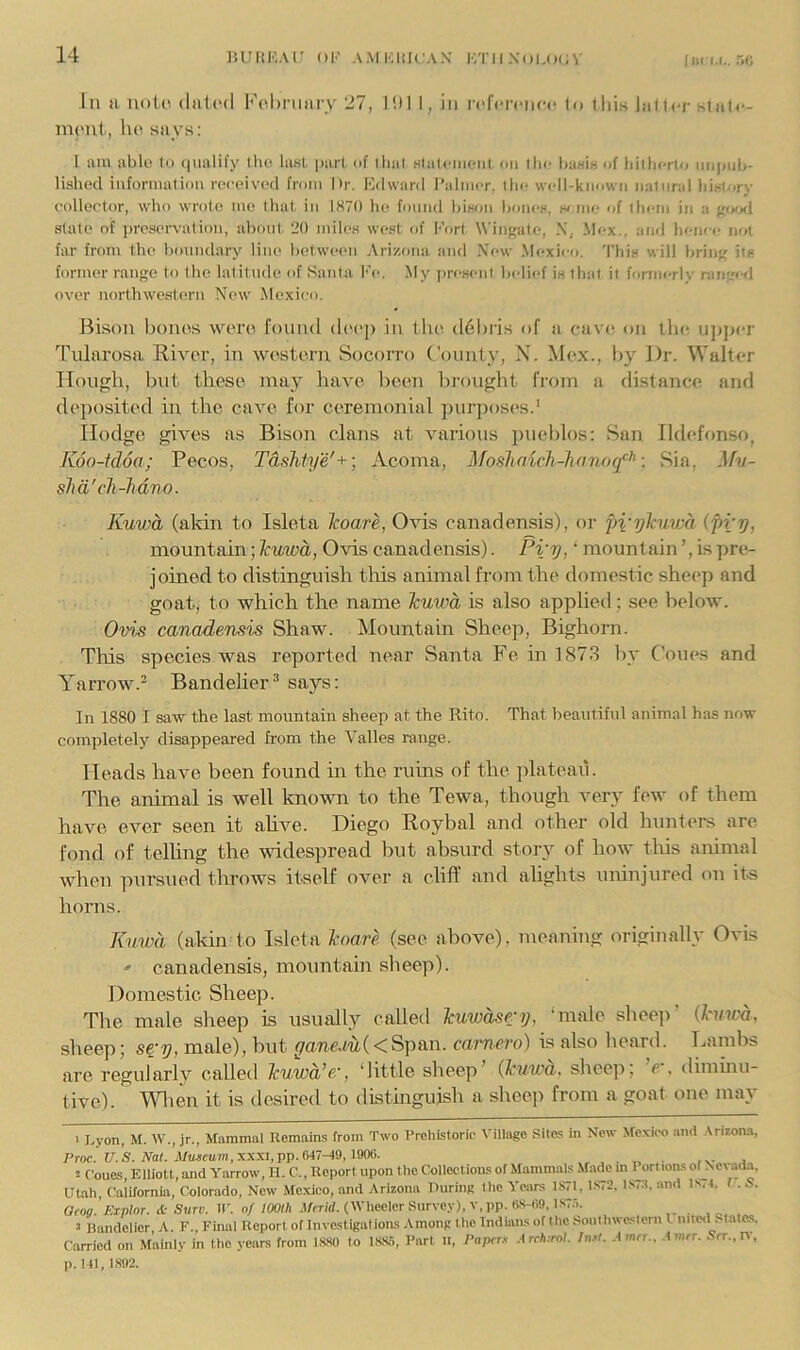 lisru,. 50 In a uot,(‘. (Iat('(l Fobniary 27, Mil I, in I'HVi'cncc to lliis latter state- m(>ni, he says: I am able to (lunlify llui last i)art of that HlalenieiiL on ilic l)aHiH of liiiherto niipub- lishecl information received from Dr. Fdward I’almer. the well-known natural liintory collector, who wrote me that, in 1870 he found hinon boncH, w.me of ihem in a j;(jo<l state of presen’ation, about. 20 miles west of k'ort Wingate, .\, Mex.. and hence not far from the boundary line between Ari/,f)na and Xew Mexico, 'I'his will bring iifi former range to the latitiide of Santa l'’e. My iiresent belief is that it formerly rangwl over northwestern New Mexico. Bison bonos wero fotind (h'cp in lint d6l)ris of a cave on the upjter Tnlarosa River, in western Socorro ('ounty, N. Mex., by Dr. Walter Hough, but these may have heen brought from a distance and deposited in the cave for ceremonial purposes.' Hodge gives as Bison clans at various pueblos: San Ildefonso, K6o-td6a; Pecos, Tdshtye'+ ] Acoma, Moshaich.-hanog^^: Sia, ^fv- shd'cTi-lidno. Kuwd (akin to Isleta Icoare, Ovis canadensis), or p\'ylcuv:a (pry, mountain; Icuwd, Ovis canadensis). Pi'y, ‘ mountain ’, is pre- joined to distinguish this animal from the domestic sheep and goat, to which the name Icuwd is also applied; see below. Ovis canadensis Shaw. Mountain Sheep, Bighorn. This species was reported near Santa Fe in 187.3 by Cones and Yarrow.^ Bandolier® says: In 1880 I saw the last mountain sheep at the Rito. That beautiful animal has now completely disappeared from the Valles range. Heads have been found in the ruins of the plateau. The animal is well known to the Tewa, though very few of them have ever seen it ahve. Diego Roybal and other old hunters are fond of telUng the widespread but absurd story of how tliis animal when pursued throws itself over a cliff and ahghts uninjured on its horns. Kmvd (akin to Isleta I’oare (see above), meaning originally Ovis ' canadensis, mountain sheep). Domestic Sheep. The male sheep is usually called Teuwdse-y, ‘male sheep’ (htwd, sheep; s^-y, male), but <7(me.tti(<Span. camero) is also lieard. Lambs are regularly called Icuwd’ec, ‘little sheep’ (kuwa, sheep, e , diminu- tive). Wlten it is desired to distinguish a sheep from a goat one may 1 Lyon, M. W., jr., Mammal Remaims from Two Prehistoric Village Sites in New ^fexioo .‘inci Arizona, Proc. U.S. Nal. Museum,XXXI,pp.647-49,1906. s Cones, Elliott, and Yarrow, H. C., Report upon the Collections of Mammals Made m I ortionsof Xovad-a. UUah, California, Colorado, New Mexico, and Arizona During the Years 1S71, 1S72. ISTlt, and is,4. f . S. GfOff.’A’xp/or. a-Sure, in o/ZOOM .Urr/d. (Wheeler Survey), v,pp.as-fi9,lS7.'>. , o. . 3 Randelier A. F.,J'inal Report of Investigations Among the Indians of the Southwe,slorn I mteil. tates. Carried on Mainly in the years from 18S0 to 18t», Part li. Papers .1 rrh:ml Insl. met., A mer. Srr., w. p. 141, 1892.