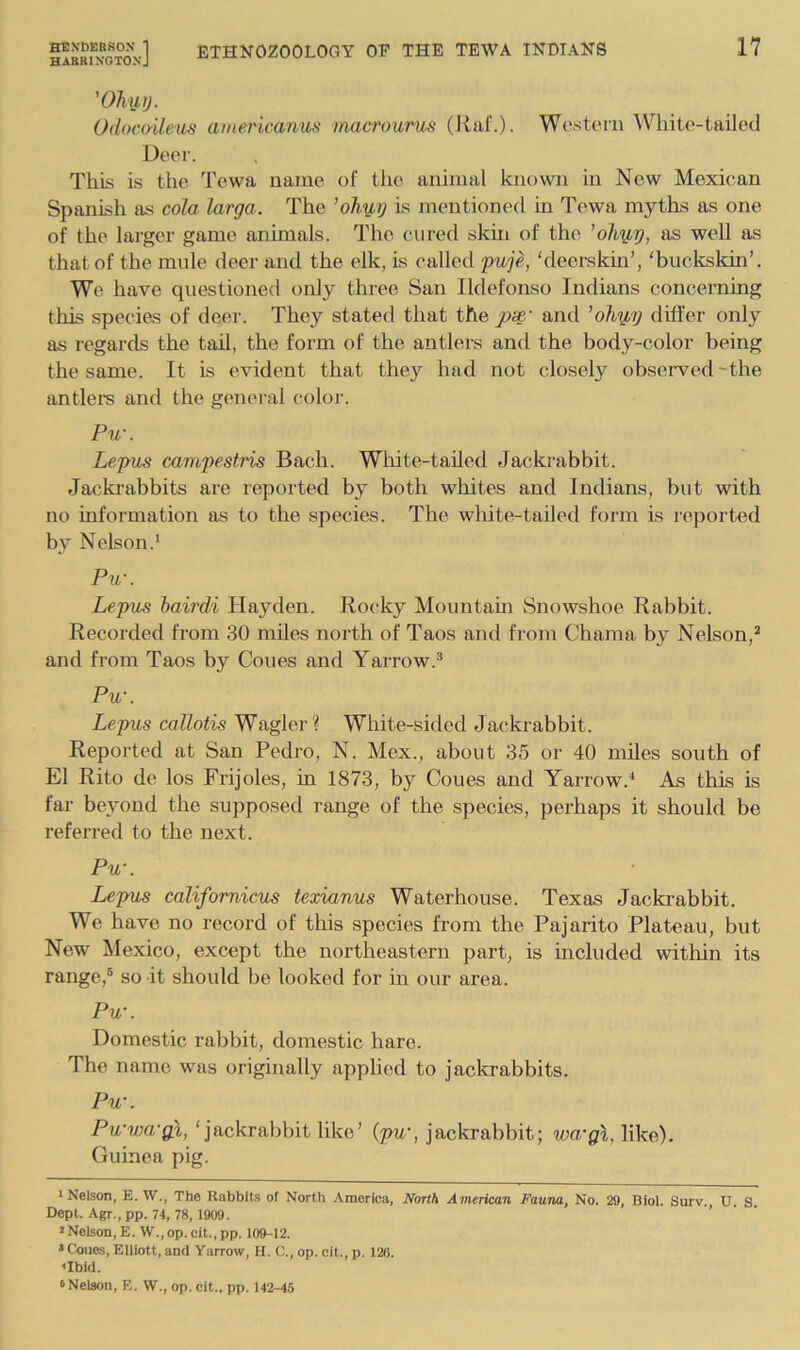 ETHNOZOOLOGY OP THE TEWA INDIAN'S BARRINGTON* * J 17 'Ohy,ij. Odocoileus ainericanus macrourus (Ral‘.). Western White-tailed Deer. This is the Tewa name of the animal known in New Mexican Spanish as cola larga. The 'ohuy is mentioned in Tewa myths as one of the larger game anunals. I'he cored skui of the ’ohy^y, as well as that of the mnle deer and the elk, is called puje, hleerskm’, 'buckskin’. We have questioned only three San Ildefonso Indians concerning this species of deer. They stated that the pse' and 'ohy^y differ only as regards the tail, the form of the antlers and the body-color being the same. It is evident that they had not closely observed'the antlers and the general color. Pw. Lepus campestris Bach. White-tailed Jackrabbit. Jackrabbits are reported by both whites and Indians, but with no information as to the species. The white-tailed form is reported by Nelson.’ Pw. Lepus bairdi Hayden. Rocky Mountain Snowshoe Rabbit. Recorded from 30 miles north of Taos and from Chama by Nelson,’* and from Taos by Cones and Yarrow.® Pw. Lepus callotis Wagler? White-sided Jackrabbit. Reported at San Pedro, N. Mex., about 35 or 40 miles south of El Rito de los Frijoles, in 1873, by Cones and Yarrow.^ As this is far beyond the supposed range of the species, perhaps it should be referred to the next. Pw. Lepus califomicus texianus Waterhouse. Texas Jacki’abbit. We have no record of this species from the Pajarito Plateau, but New Mexico, except the northeastern part, is included within its range,® so it shovdd be looked for in our area. Pw. Domestic rabbit, domestic hare. The name was originally apphed to jackrabbits. Pw. PwwwgX, ‘jackrabbit like’ (pw, jackrabbit; wwgl, like). Guinea pig. ‘Nelson, E. W., The Rabbits of North America, North American Fauna, No. 29, Biol. Surv. U S Dept. Agr., pp. 74, 78, 1909. ’’ 2 Nelson, E. W., op. cit., pp. 109-12. • Cones, Elliott, and Yarrow, H. C., op. cit., p. 120. Ubid. ‘Nelson, E. W., op. cit., pp. 142-45