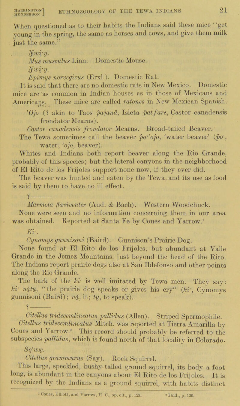 haurinutonI hkndkuson J ETHNOZOOLOCiV OE THE TEWA INDIANS 21 IVheii (jiicstioned as to theii- habits the Indians said these mice “get young in the spruig, the same as horses and cows, and give them milk just the same.” Mus musculus Linn. Domestic Mouse. Epimys norvegicus (^Yx\.). Domestic Rat. It is said that there are no domestic rats in New Mexico. Domestic mice are as common in Indian houses as in those of Mexicans and Americans. These mice are called ratones in New Mexican Spanish. ’Ojo (? akin to Taos pajand, Isleta patf are, Castor canadensis frondator Mearns). Castor canadensis frondator Mearns. Broad-tailed Beaver. The Tewa sometunes call the beaver po''ojo, 'water beaver’ {po', water; ’ojo, beaver). Whites and Indians both report beaver along the Rio Grande, probably of this species; but the lateral canyons in the neighborhood of El Rito de los Frijoles support none now, if they ever did. The beaver was hunted and eaten by the Tewa, and its use as food is said by them to have no ill effect. ? Marmota jlamventer (Aud. & Bach). Western Woodchuck. None were seen and no information concerning them in our area was obtamed. Reported at Santa Fe by Coues and Yarrow.^ Kv. Cynomys gunnisoni (Band). Gunnison’s Prairie Dog. None found at El Rito de los Frijoles, but abundant at Valle Grande in the Jemez Mountains, just beyond the head of the Rito. The Indians report praii-ie dogs also at San Rdefonso and other points along the Rio Grande. The bark of the Jci' is well imitated by Tewa men. They say: lci‘ n4ty,, “the prahie dog speaks or gives his cry” {lev, Cynomys gunnisoni (Band); ng,, it; ty,, to speak). 1 CiteUus tridecemlineatus pallidus (AUen). Striped Spermophile. CiteJlus tridecemlineatus Mitch, was reported at Tierra Amarilla by Coues and Yarrow.^ This record should j)robably be refeiTed to the subspecies pallidus, which is found north of that locality in Colorado. Sq’ivsp.. CiteUus grammurus (Say). Rock S((unrel. This large, speckled, bushy-tailed ground sciuhrel, its body a foot long, is abundant in the canyons about El Rito de los Frijoles. It is recognized by the Indians as a ground squirrel, with habits distmet