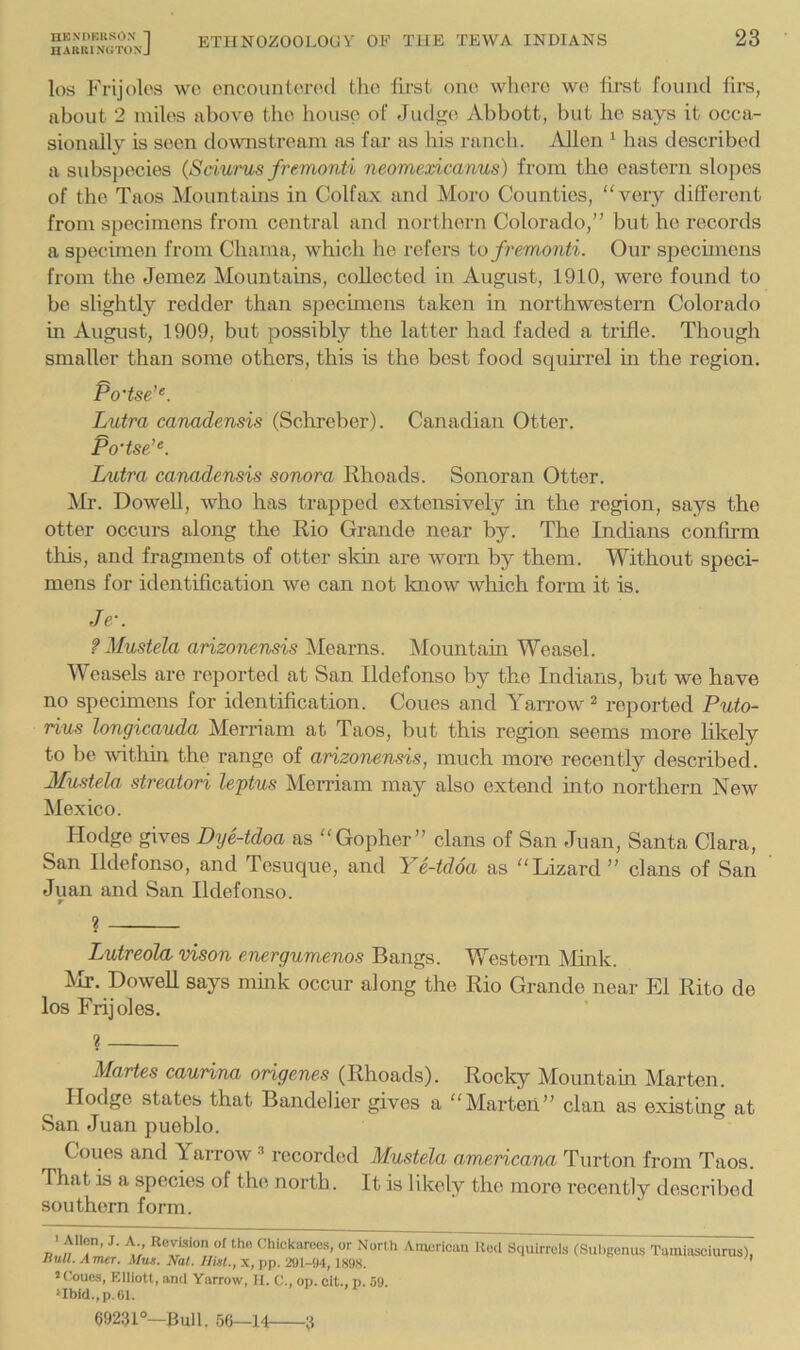 los Frijolos wo oncountorod tho first one wliorc we first found firs, about 2 miles above the house of Judf^(>, Abbott, but he says it occa- sionally is seen downstream as far as his rancli. Allen ‘ has described a subspecies (Sciurus fremonti neomexicanus) from the eastern slojies of the Taos Mountains in Colfax and Moro Counties, “very different from specimens from central and northern Colorado,” but he records a specimen from Chama, which he refers to fremonti. Our spechnens from the Jeinez Mountains, collected in August, 1910, were found to be slightly redder than specimens taken in northwestern Colorado in August, 1909, but possibly the latter had faded a ti’ifle. Though smaller than some others, this is the best food squirrel in the region. Po'tse'^. Lutra canadensis (Schreber). Canadian Otter. Po'tse’^. Lutra canadensis sonora Rhoads. Sonoran Otter. ;Mi‘. DoweU, who has trapped extensively in the region, says the otter occurs along the Rio Grande near by. The Indians confirm this, and fragments of otter skin are worn by them. Without speci- mens for identification we can not laiow which form it is. Je-. f Mustela arizonensis Mearns. Mountain Weasel. Weasels are reported at San Ildefonso by the Indians, but we have no specimens for identification. Coues and Yarrow ^ reported Puto- rius longicauda Merriam at Taos, but this region seems more likely to be within the range of arizonensis, much more recently described. Mustela streatori leptus Merriam may also extend into northern New Mexico. Hodge gives Dye-tdoa as “Gopher” clans of San Juan, Santa Clara, San Ildefonso, and Tesuque, and Ye-tdoa as “Lizard ” clans of San Juan and San Ildefonso. r ? Lutreold vison energumenos Bangs. Western Mink, Mr. Dowell says mmk occur along the Rio Grande near El Rito de los Frijoles. 1 MaHes caurina origenes (Rhoads). Rocky Mountain Marten. Hodge states that Bandelier gives a “Marten” clan as existing at San Juan pueblo. Coues and Yarrow ® recorded Mustela amerieana Turton from Taos. That is a species of the north. It is likely the moro recently described southern form. > Alien, J. A., Revision of tho Chickarees, or North Bull. Amer. Mus. Nat. Hist., x, pp. 2fll-!)4, 189S. *Ck)ucs, Elliott, and Yarrow, II. C., op. cit., p. 59. ‘Ibid.,p.m. American Rod Squirrels (Suhgenus Tainiiisoiurus), 69231°—Bull. 56—14- •3