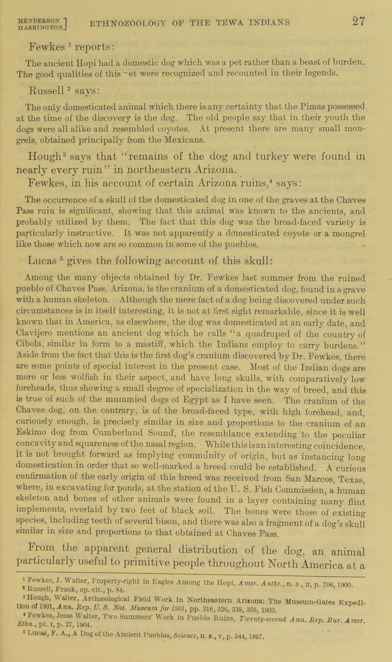 Fe^Ykes ’ reports: The ancient Hopi had a domestic dog whicli was a pet rather than a beast of burden. The good qualities of this ~ot were recognized and recounted in their legends. RusselP says: The only domesticated animal which there is any certainty that the Pimas possessed at the time of the discovery is the dog. The old people say that in their youth the dogs were all alike and resembled coyotes. At present there are many small mon- grels, obtained principally from the Mexicans. Hough ^ says that remains of the dog and turkey were found in nearly every ruin” in northeastern Arizona. Fewkes, in his account of certain Aidzona ruins/ says: The occurrence of a skull of the domesticated dog in one of the graves at the Chaves Pass ruin is significant, showing that this animal was known to the ancients, and probably utilized by them. The fact that this dog was the broad-faced variety is particularly instructive. It was not apparently a domesticated coyote or a mongrel like those which now are so common in some of the pueblos. Lucas ® gives the following account of this skull: Among the many objects obtained by Dr. Fewkes last summer from the ruined pueblo of Chaves Pass, Arizona, is the cranium of a domesticated dog, found in a grave with a human skeleton. Although the mere fact of a dog being discovered under such circumstances is in itself interesting, it is not at first sight remarkable, since it is well known that in America, as elsewhere, the dog was domesticated at an early date, and Clavijero mentions an ancient dog which he calls “a quadruped of the country of Cibola, similar in form to a mastiff, which the Indians employ to carry burdens.” Aside from the fact that this is the first dog’s cranium discovered by Dr. Fewkes, there are some points of special interest in the present case. Most of the Indian dogs are more or less wolfish in their aspect, and have long skulls, with comparatively low foreheads, thus showing a small degree of specialization in the way of breed, and this is true of such of the mummied dogs of Egypt as I have seen. The cranium of the Chaves dog, on the contrary, is of the broad-faced type, with high forehead, and, curiously enough, is precisely similar in size and proportions to the cranium of an Eskimo dog from Ciunberland Sound', the resemblance extending to the peculiar concavity and squareness of the nasal region. While this is an interesting coincidence, it is not brought forward as implying community of origin, but as instancing long domestication in order that so well-marked a breed could be established. A curious confirmation of the early origin of this breed was received from San Marcos, Texas where, in excavating for ponds, at the station of the U. S. Fish Commission, a human skeleton and bones of other animals were found in a layer containing many flint implements, overlaid by two feet of black soil. The bones were those of existing species, including teeth of several bison, and there was also a fragment of a dog’s skull similar in size and proportions to that obtained at Chaves Pass. From the apparent general distribution of the dog, an animal particularly useful to primitive people throughout North America at a 1 Fewkes, J. Waller, I’ropcrty-right in Eagles Among the Uopi, Amer. Anthr., n. s., n n 706 1900 > Russell, Frank, op. cit., p. 84. . . i • ’Hough, Walter, Archasological Field Work In Northeastern Arirona: The Museum-Gates Expedl- tion of 1901, Ann, Rep. U. S, Nat. Museum for 1901^ pp. 316, 326, 339, 356, 1903. Ethn'^pri p*^ Tvicnty-sccond Ann. Rep. Bur. Amer. ^ Lucas, F. A,, A Dog of tho Ancient Pueblos, Science, n. s., v, p, 544,1897.