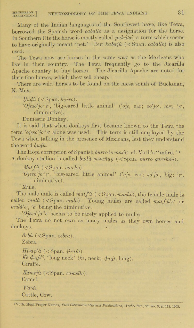 ETPr NOZOOLOGY OF THE TEW A INDIANS II AlUll NCrlUIS J 31 Many of the Indian languages of the Southwest have, like Tewa, borrowed the Spanish word cahallo as a designation for the horse. In Southern Ute the horse is mostly called pul'utsi, a term which seems to have originally meant 'pet.’ But hiiaju (<Span. caballo) is also used. The Tewa now use horses in the same way as the Mexicans who - live in their country. The Tewa frequently go to the Jicarilla zVpache country to buy horses. The Jicarilla Apache are noted for tJieir fine liorses, which they sell cheap. There are wild horses to be found on the mesa south of Buckman, N. Mex. Budu (<Span. hurro). ’Ojeso’jo'’e', 'big-eared little animal’ {’oje, ear; so’jo', big; ’e‘, diminutive). Domestic Donlcey. It is said that when donkeys first became known to the Tewa the term ’ojeso’jo-’e' alone was used. This term is stiU employed by the Tewa when talking in the presence of Mexicans, lest they understand the word budu. The Hopi corruption of Spanish hurro is modo; cf. Voth’s moro.” ^ A donlcey stallion is called hudd ffa,dany,y (<Span. hurro garanon). Matfu {<Span, macho). ’Ojeso’jo-’e-, 'big-eared little animal’ (’oje, ear; so’jo', big; ’e', diminutive). Mule. The male mule is called matfu ( <Span. macho), the female mule is called mula ( < Span. muZa). Young mules are called matfu’e‘ or mula’e', ’e~ being the diminutive. ’Ojeso’jo-’e' seems to be rarely applied to mules. The Tewa do not own as many mules as they own horses and donkeys. Seba (<Span. zehra). Zebra. TIidap'a (<Span. jirafa). Ke dugV\ 'long neck’ {he, neck; dugi, long). Giraffe. Kameju (<Span. camello). Camel. TTa'sI. Cattle, CoML