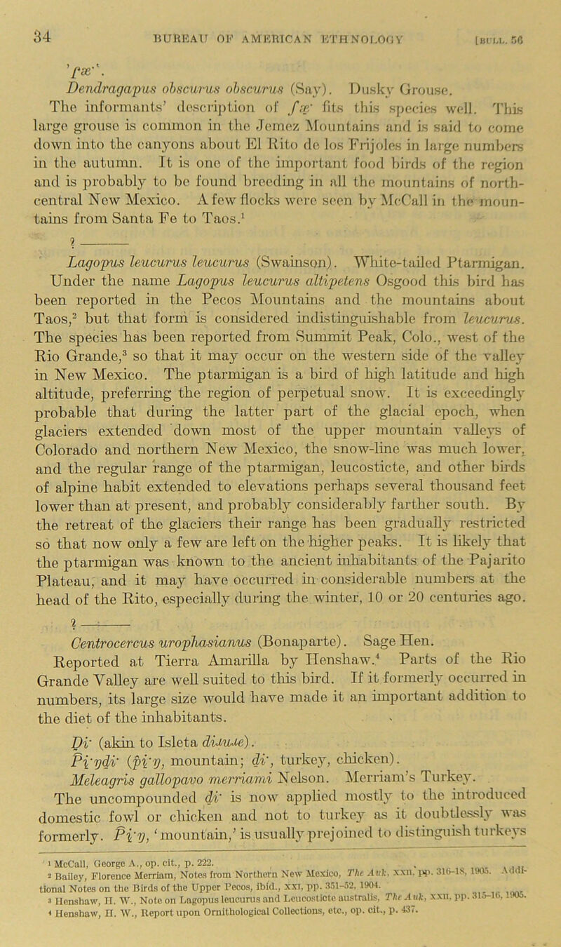 Dendragapus obscurus ohscuru/t (Say). Dusky Gnjiisc. The informants’ desci'iption of f re' fits this speeie.' ^ well. 'I’liis large grouse is common in the Jenu'z ^fountains ami is said to come down into the canyons about El Rito de los Fiijoles in large numbers in the autumn. It is one of the important food birds of the region and is probably to bo found breeding in all the mountains of north- central New Mexico. A few flocks were seen by McCall in the moun- tams from Santa Fe to Taos.' ? Lagopm leucurus leucurus (Swainson). White-tailed Ptarmigan. Under the name Lagopus leucurus altipetens Osgood this bird has been reported in the Pecos Mountains and the mountains about Taos,^ but that form is considered indistinguishable from leucurus. The species has been reported from Summit Peak, Colo., west of the Rio Grande,^ so that it may occur on the western side of the valle}' in New Mexico. The ptarmigan is a bird of high latitude and high altitude, preferring the region of perpetual snow. It is exceeding!}* probable that during the latter part of the glacial epoch, when glaciers extended down most of the upper mountain valleys of Colorado and northern New Mexico, the snow-line was much lower, and the regular range of the ptarmigan, leucosticte, and other birds of alpine habit extended to elevations perhaps several thousand feet lower than at present, and probably considerably farther south. By the retreat of the glaciere their range has been gradually restricted so that now only a few are left on the higher pealcs. It is likely that the ptarmigan was known to the ancient mhabitants of the Pajarito Plateau, and it may have occurred in considerable numbers at the head of the Rito, especially during the winter, 10 or 20 centuries ago. ? —^ Centrocercus urophasianus (Bonaparte). Sage Hen. Reported at Tierra Amaiilla by Henshaw.^ Parts of the Rio Grande Valley are weU suited to this bird. If it formerly occurred in numbers, its large size would have made it an important addition to the diet of the inhabitants. Di' (akin to Isleta diiuue). Pi'pdi' {pi'V, mountain; di', turkey, clhcken). Meleagris gallopavo merriami Nelson. ]\Icrriam’s Turkey. The uncompounded di' is now aj^plied mostly to the introduced domestic fowl or chicken and not to turkey as it doubtlessly was formerly. Pi'V> ‘ mountain,’ is usually prejoined to distinguish turkeys 1 McCall, George A., op. cit., p. 222. , , ,, » Bailey, Florence Merriam, Notes from Northern New Mexico, The .-Iwl-. xxii. 31b-ls, IWi). Addi- tional Notes on the Birds of the Upper Pecos, ibid., xxi, pp. 351-52. 1901. ^ licnshaw, II. W., Note on Lagopus leucurus and LcucosUcte australis. The .ink, xxn. pp. 315-10. l.ios. < Ilenshaw, II. W., Report upon Ornithological Collections, etc., op. cit., p. 437.