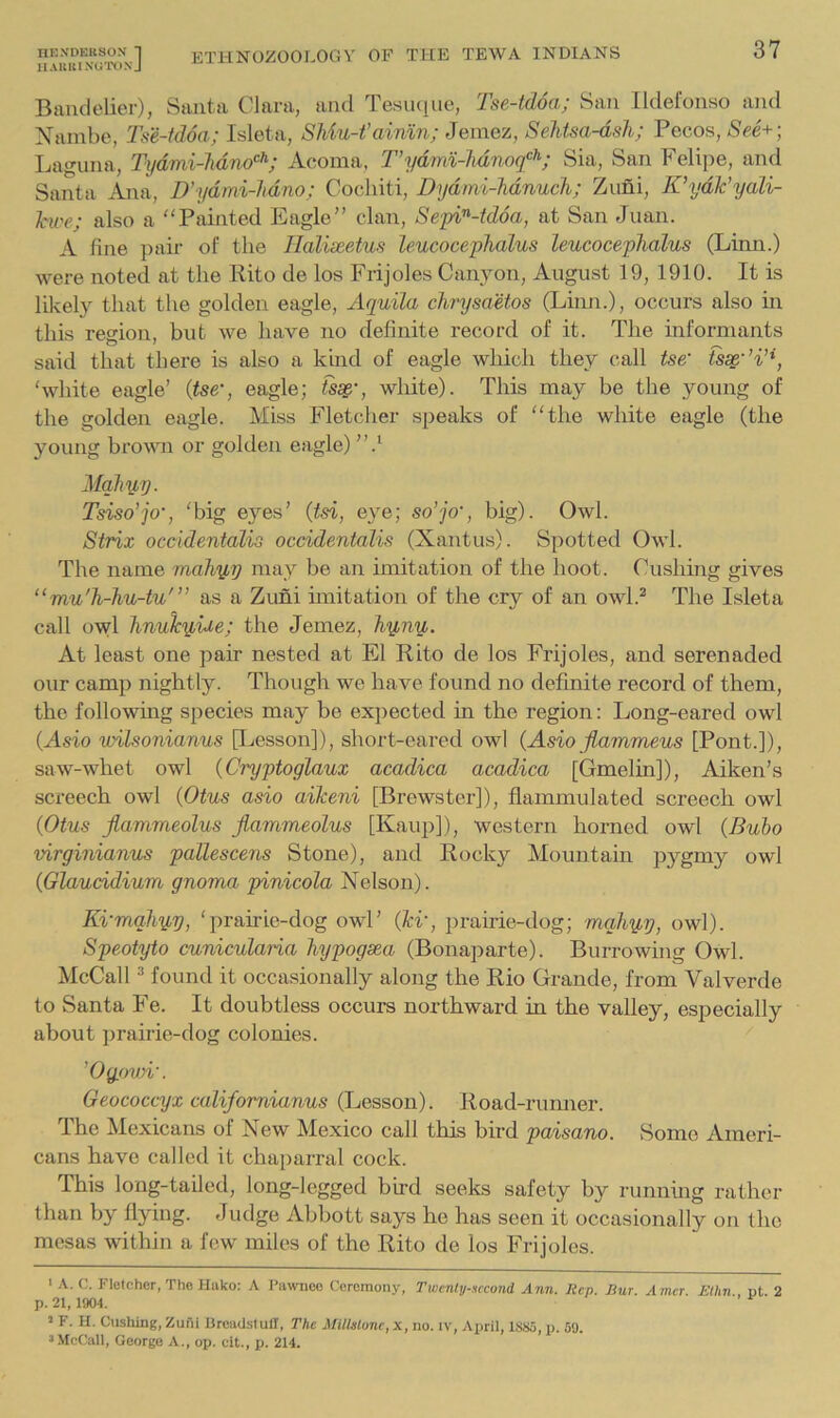 H A U KIN Ct ro N J 37 Bandelier), Santa Clara, and Tesiuiue, Tse-tdoa; San Ildefonso and Xambe, Tse-tdoa; Isleta, SMu-t’aimn; Jernez, SeJitsa-dsh; Pecos, See+; Laguna, Tydmi-Mno’^^; Acoma, T’ydmx-Mnoq’^^; Sia, San Felipe, and Santa Ana, D'ydmi-hdno; Cochiti, Dydmi-hdnuch; Zuni, K’ydJc’yali- Jcwe; also a Painted Eagle” clan, Sepi-td6a, at San Juan. A fine pail’ of the Ilalieeetus leucoceplialus leucocephalus (Linn.) were noted at the Rito de los Frijoles Canyon, August 19, 1910. It is likely that the golden eagle, Aquila chrysaetos (Linn.), occurs also in this region, but we have no definite record of it. The informants said that there is also a kbid of eagle which they call tse' ‘white eagle’ {tse’, eagle; fs^’, white). This may be the young of the golden eagle. Miss Fletcher speaks of the white eagle (the young brovm or golden eagle) Mqhyy. Tsiso’jo’, ‘big eyes’ {tsi, eye; so’jo’, big). Owl. Sirix occidentalis occidentalis (Xantus). Spotted Owl. The name mahyy may be an imitation of the hoot. Cushing gives “mu'Ji-Jiu-tu'” as a Zuni imitation of the cry of an owl.* The Isleta call owl Imulcy/Ue; the Jemez, hy^nu. At least one pair nested at El Rito de los Frijoles, and serenaded our camp nightly. Though we have found no definite record of them, the following species may be expected in the region: Long-eared owl {Asio wUsonianus [Lesson]), short-eared owl {Asio flammeus [Pont.]), saw-whet owl {Cryptoglaux acadica acadica [Gmelin]), Aiken’s screech owl {Otus asio aiTceni [Brewster]), flammulated screech owl {Otus jlammeolus Jlammeolus [Kaup]), western horned owl {Buho virginianus pallescens Stone), and Rocky Mountain pygmy owl (Glauddium gnoma pinicola Nelson). Ki’mqhyy, ‘prairie-dog owl’ {lev, iirairie-dog; mqhyy, owl). Speotyto cunicularia hypogsea (Bonaparte). Burrowing Owl. McCall * found it occasionally along the Rio Grande, from Valverde to Santa Fe. It doubtless occurs northward in the valley, especially about prairie-dog colonies. ’Ogovn'. Geococcyx califomianus (Lesson). Road-rumier. The Mexicans of New Mexico call this bird paisano. Some Ameri- cans have called it chaparral cock. This long-tailed, long-legged bird seeks safety by runnmg rather than by flying. Judge Abbott says he has seen it occasionally on the mesas within a few miles of the Rito de los Frijoles. ' A. C. Fletcher, The Hiiko: A I’awnco Ceremony, Tivenly-ticcond Ann. liep. But. Amer Elhn ut 2 p. 21,1904. ’ F. H. Cushing, Zufli llreadsiull. The Millstone, x, no. iv, April, 1SS5, p. 59. »McCall, George A., op. cit., p. 214.