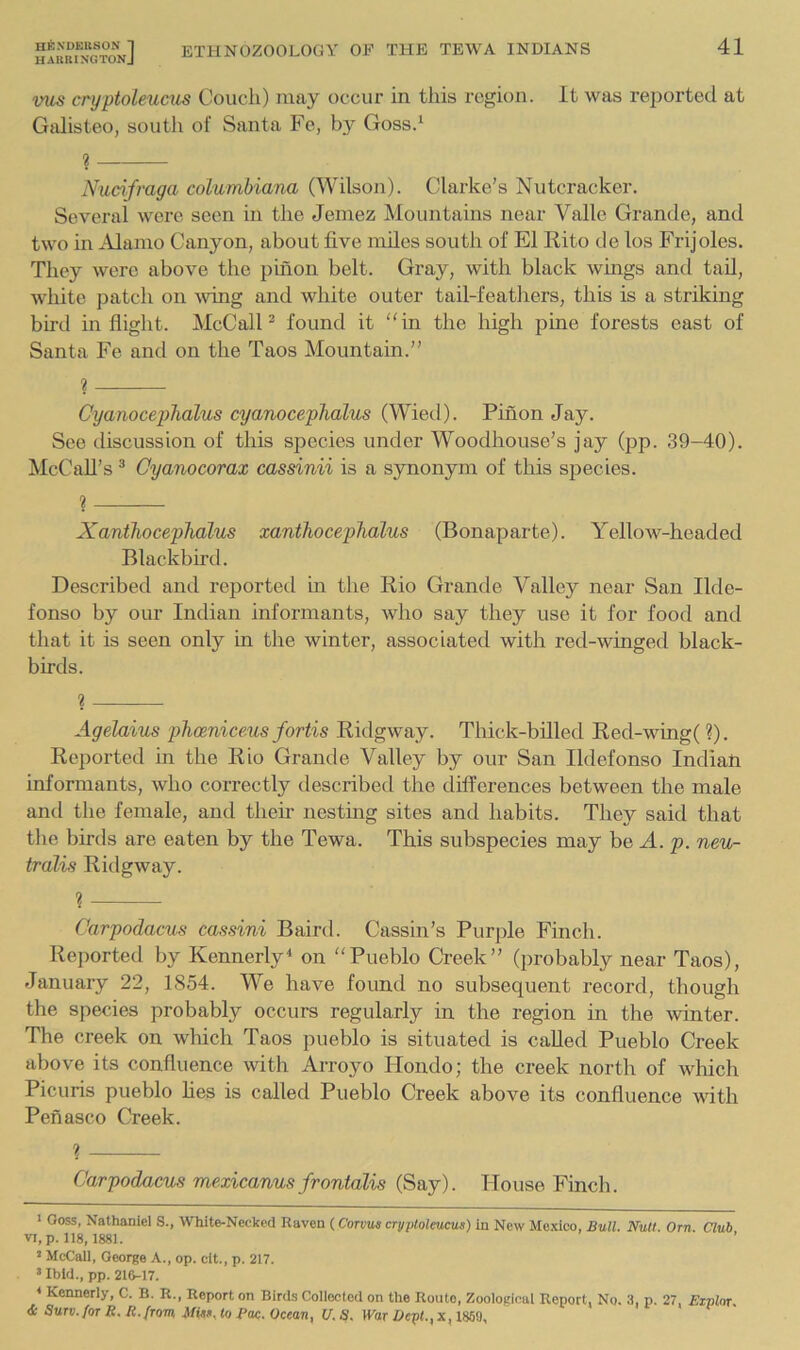 hauiungtonJ mis cryptoleucus Couch) may occur in this region. It was reported at Galisteo, south of Santa Fe, by Goss.‘ ? Nucifraga Columbiana (Wilson). Clarke’s Nutcracker. Several were seen in the Jemez Mountains near Valle Grande, and two in Alamo Canyon, about five miles south of El Rito de los Frijoles. They were above the piiion belt. Gray, with black wings and tad, white patch on wing and white outer tail-feathers, this is a striking bird inflight. McCall ^ found it in the high pine forests east of Santa Fe and on the Taos Mountain.” ? Cyanocephalus cyanocephalus (Wied). Pinon Jay. See discussion of this species under Woodhouse’s jay (pp. 39-40). McCall’s ® Oyanocorax cassinii is a synonym of this species. 2 XanthocepTialus xanthocephalus (Bonaparte). Yellow-headed Blackbird. Described and reported in the Rio Grande Valley near San Ilde- fonso by our Indian informants, who say they use it for food and that it is seen only in the winter, associated with red-winged black- birds. ? Agdaius phoeniceus fortis Ridgway. Thick-billed Red-wing( ?). Reported in the Rio Grande Valley by our San Ildefonso Indiati informants, who correctly described the differences between the male and the female, and their nesting sites and habits. They said that the birds are eaten by the Tewa. This subspecies may be A. p. neu- tralis Ridgway. ? Carpodacus cassini Baird. Casshi’s Purple Finch. Rejmrted by Kennerly^ on Pueblo Creek” (probably near Taos), January 22, 1854. We have found no subsequent record, though the species probably occurs regularly in the region in the winter. The creek on Avhich Taos pueblo is situated is called Pueblo Creek above its confluence with Arroyo Hondo; the creek north of winch Picuris pueblo fies is called Pueblo Creek above its confluence with Penasco Creek. 2 Carpodacus mexicanus frontalis (Say). House Finch. > Ooss, Nathaniel S., White-Necked Raven (Corvua cryptoleucus) in New Mexico, Bull. Null. Orn Club VI, p. 118,1881. * McCall, George A., op. cit., p. 217. ’Ibid., pp. 216-17. < Kennerly, C. B. R., Report on Birds Colloetod on the Route, Zoological Report, No. 3, p. 27, Ezplnr. <t SuTv. for R.R. from Miss.lo Pac. Ocean, U.S. IVar i>cp<.,x, 1859,