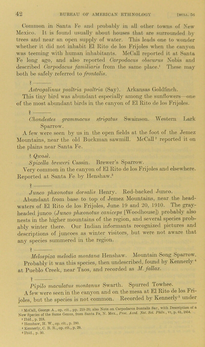(,'oinniou in .Siiutii Kc and prohaldy in all otlier towns of Vow Mexico. It is found usually about bouses tlmt are surrounded by trees and near an open supply of water. This leads one to wonder whether it did not inhal)it El Rito <le los Frijoles when the canyon was teeming \\dth human inhabitants. McCall reported it at Santa Fe long ago, and also reported Oarpodacus ohscurwt Xobis and described Carpodacus familiaris from the same place.' These may both be safely referred io frontalis. % Astragalinus psaltria psaltria (Say). Arkansas Goldfinch. Tills tiny bird was abundant especially among the sunflowers—one of the most abundant birds in the canyon of El Rito de los Frijoles. « — Chondestes grammacus strigatus Swamson. Western Lark Sparrow. A few were seen by us in the open fields at the foot of the Jemez Mountains, near the old Buckman sa-wmiU. McCall ^ reported it on the plains near Santa Fe. ? Qwode. Spizella hreweri Cassin. Brewer’s Sparrow. Very common in the canyon of El Rito de los Frijoles and elsewhere. Reported at Santa Fe by Henshaw.® 1 Junco phseonotus dorsalis Hemy. Red-backed Junco. Abundant from base to top of Jemez Mountains, near the head- waters of El Rito de los Frijoles, June 19 and 20, 1910. The gray- headed junco {Junco phxonotus caniceps [Woodhouse]) probably also nests m the higher mountains of the region, and several species prob- ably mnter there. Our Indian informants recognized pictures and descriptions of juncoes as winter visitors, but were not aware that any species summered in the region. « Melospiza melodia montana Henshaw^ Mountain Song Sparrow. Probably it w^as this species, then undescribed, foimd by Kennerly ^ at Pueblo Creek, near Taos, and recorded as M. fallax. ? Pipilo maculatus montanus Swarth. Spurred Towdiee. A few were seen in the canyon and on the mesa at El Rito de los Fri- joles, but the species is not common. Recorded by KemieiR under ■ McCall, George A., op. clt., pp. 219-20; also Note on Carpodacus frontalis Sav, with Description of a New Species of the Same Genus, from Santa Fe, N. Me.x., Proc. Acad. ^al. Sci. Phih.,M, p. 61, lso4. 2 Ibid., p. 218. 3 Henshaw, H. W., op. clt, p. 280. * Kennerly, C. B. R., op. cit., p. 29.