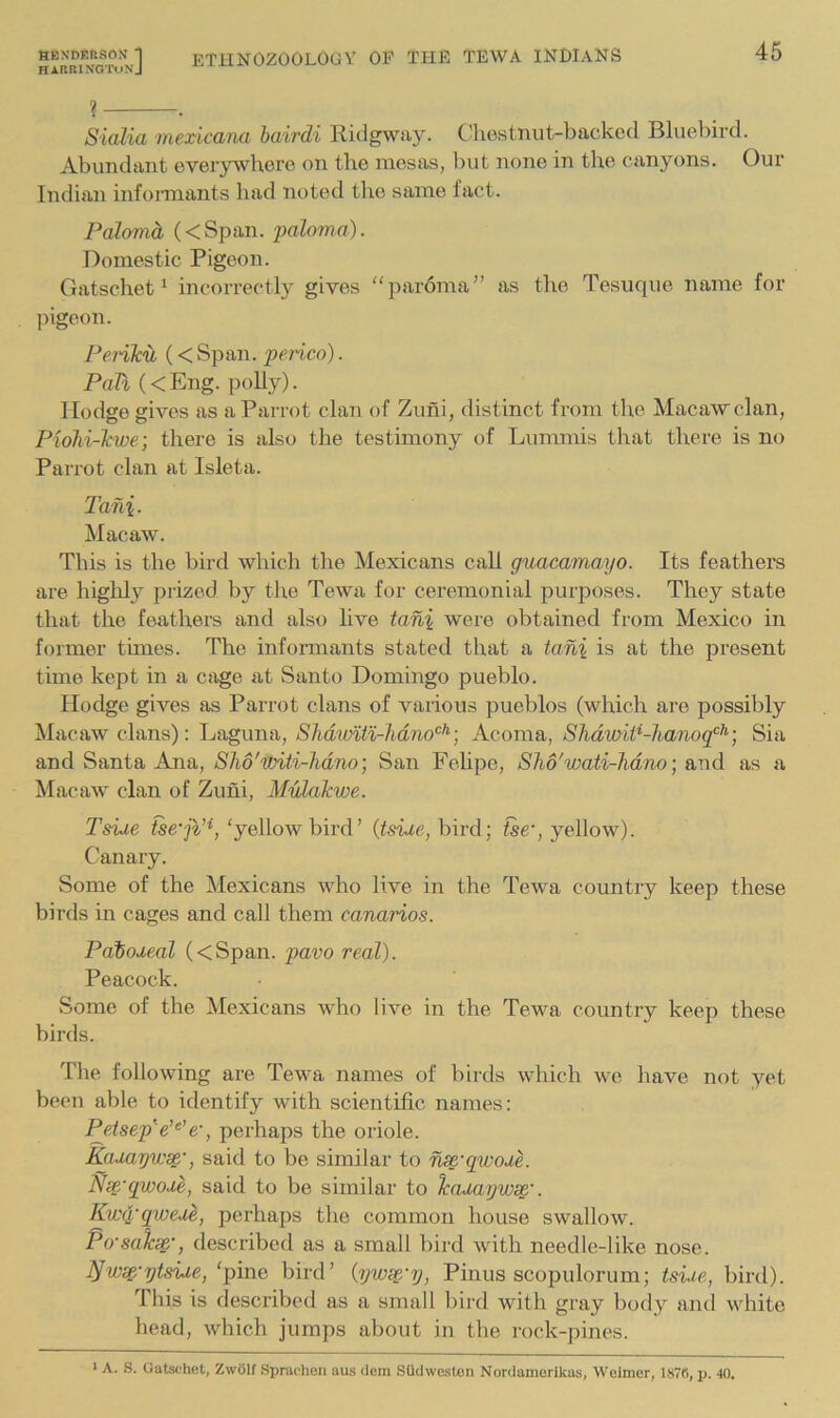 HKN-DERSON 1 ETilNOZOOLOUY OP THE TEWA INDIANS HAflRINOToNj 45 ? . SiaMa mexicana bairdi Ridgway. Chostnut-backed Blueliird. Abundant everywhere on the mesas, l)ut none in the canyons. Our Indian infonnants had noted the same lact. Palomd (<Span. paloma). Domestic Pigeon. Gatschet^ incorrectly gives “parbma” as the Tesuque name for ])igeon. Periku (< Span, perico). Pah (<Eng. polly). Hodge gives as a Parrot clan of Zuni, distinct from the Macaw clan, Piohi-kwe] there is also the testimony of Lummis that there is no Parrot clan at Isleta. Tan\. Macaw. This is the bird which the Mexicans call guacamayo. Its feathers are higlilj^ prized by the Tewa for ceremonial purposes. They state that the feathers and also live tan% were obtained from Mexico in former tunes. The informants stated that a ta,ni is at the present time kept in a cage at Santo Domingo pueblo. Hodge gives as Parrot clans of various pueblos (which are possibly Macaw clans): Laguna, SJiditMi-hdno’^^■, Acoma, Shdwit^-hanoq'^^] Sia and Santa Ana, Shd'witi-hdno] San Fehpe, Sho'wati-hdno ■, and as a Macaw clan of Zuni, Mulakwe. Tside ‘yellow bird’ (tsiue, bird; tse', yellow). Canary. Some of the IMexicans who live in the Tewa country keep these birds in cages and call them eanarios. Paiodeal (<Span. pavo real). Peacock. Some of the Mexicans who live in the Tewa country keep these birds. Tlie following are Tewa names of birds which we have not yet been able to identify with scientific names: Petsep'e’^’e, perhaps the oriole. Kadayvoss.', said to be similar to ^'qwode. Ns^'gwode, said to be similar to Icadayws^'. KwCi-qwede, perhaps the common house swallow. Po'salc^', described as a small bird with needle-like nose. wsp/ytside, ‘pinG bird’ {yw^-y, Pinus scopulorum; tsiie, bird). Ibis is described as a small bird with gray body and white head, which jumps about in the rock-pines. > A. S. Oatsohet, Zw61f Spraohen aus dem SUdweston Nordamerikas, Weimor, 1876, ij. 40.