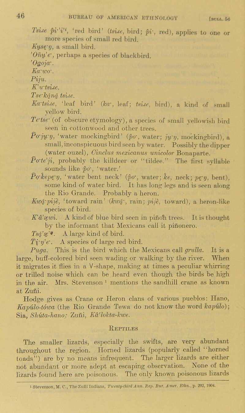 Tsiie pi-'i’i, ‘red bird’ {tsiie, l)ird; pi-, nioro S])ecics of small rod bird. KuscV) small bird. ’Ony,’e-, perhaps a spiecies of blackbird. ’Oaoja-. lurwo'. i-ed), apj)lies to one or Piju. ICwtsvie. Tse-hlnq tsiie. Ka-tsiie, ‘leaf bird’ (ka:, loaf; Uiie, bird), a kind of .small yellow bird. Te-tse- (of obscure etymology), a species of small yellrtwisb bird seen in cottonwood and other trees. Po-jy,-y, ‘water mockingbird’ (po-, water; jV?/, mockingbird), a small, inconspicuous bird seen by water. Possibl}^ the dipper (water ouzel), Cinclus mexicanus unicolor Bonaparte. Po'te’ji, probably the kilideer or “tildee.” The fimt syllable sounds like po', ‘water.’ pQ-lcef^-y, ‘water bent neck’ {po-, water; he, neck; bent), some kind of water bird. It has long legs and is seen along the Bio Grande. Probably a heron. EwQ-inje, ‘toward rain’ (kvjq:, rain; jiije, toward), a heron-like species of bird. K'a’xwi. A kind of blue bird seen in pinob trees. It is thought b}^ the informant that Mexicans call it pinonero. Tsq,’^’^. A large kind of bird. Ti-y’e-. A species of large red bu-d. Puga. This is the bird which the Mexicans call grulla. It is a large, buff-colored bird seen waduig or walkhig by the river. When it migrates it flies hi a V-shape, making at times a peculiar whirring or trilled noise which can be heard even though the birds be high in the air. Mrs. »Stevenson ‘ mentions the sandhill crane as known at Zuni. Hodge gives as Crane or Heron clans of various pueblos: Hano, Kapulo-towa (the Kio Grande Tewa do not know the word topuZo); Sia, Shuta-Jiano: Zuni, Kd'lohta-hwe. Reptiles The smaller hzards, especially the swifts, are very abundant throughout the region. Horned lizards (jiopularly called “horned toads”) are by no means mfrequent. The larger lizards are either not abundant or more adejit at escapmg observation. None of the lizards found liere are ])oisonous. The only known poisonous lizards > Stevenson, M. C., The Zufll Indians, Tu enly-lhird Ann. Hep. Bur. A mn. Ethn., p. 292, 1904.