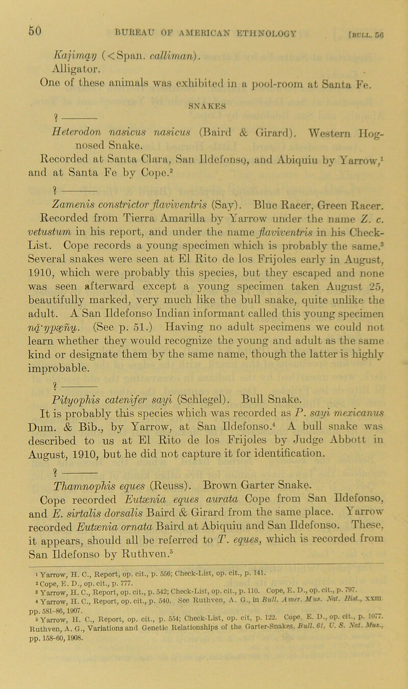 Kajimqij (<S|)iui. calliman). -Vlligator. One of these animals was exhilhled iji a pool-room at Santa Fe. SNAKES ? Heterodon nasicus nasicus (Baird & Girard). Western Ilog- nosed Snake. Recorded at Santa Clai’a, San lldefonsp, and Abiquiu by Yarrow,‘ and at Santa Fe by Co))e.^ ? Zamenis constrictor jlaviventris (Say). Blue Racer, Green Racer. Recorded from Tierra Amarilla by Yarrow under the name Z. c. vetustum in his report, and under the name jlaviventris in his Check- List. Cope records a young spechnen which is probably the same.® Several snakes were seen at El Rito de los Frijoles early in August, 1910, which were probably this species, but they escaped and none was seen afterward except a young specimen taken August 25, beautifully marked, very much like the bull snake, quite unlike the adult. A San Ildefonso Indian mformant called this young specimen nq'ij'pseny,. (See p. 51.) Having no adult specimens we could not learn whether they would recognize the young and adult as the same kind or designate them by the same name, though the latter is highly improbable. % Pityophis catenifer sayi (Sclilegel). Bull Snake. It is probably this species which was recorded as P. sayi mexicanus Dum. & Bib., by Y^arrow, at San Ildefonso.^ A bull snake was described to us at El Rito de los Frijoles by Judge Abbott in August, 1910, but he did not capture it for identification. ? Thamnopliis eques (Reuss). Brown Garter Snake. Cope recorded Eutscnia eques aurata Cope from San Ildefonso, and E. sirtalis dorsalis Baird & Ghai-d from the same place. Y'arrow recorded Eutsenia ornata Baird at Abiquiu and San Ildefonso. These, it appears, should all be referred to T. eques, which is recorded from San Ildefonso by Ruthven.® 1 Yarrow, H. C., Report, op. cit., p. 556; Check-List, op. cit., p. 141. 2 Cope, E. D., op. cit., p. 777. 3 Yarrow, H. C., Report, op. cit., p. 542; Check-List, op. cit., p. 110. Cope, E. D., op. cit., p. 797. * Yarrow, H. C., Report, op. cit., p. 540. See Ruthven, A. G., in Bull. Amn. ^fu.1. Xal. Hist., xxni pp. 581-86,1907. 6 Yarrow, H. C., Report, op. cit., p. 5.54; Check-List, op. cit, p. 122. Cope. E. U., op. cit., p. 10... Ruthven, A. G., Variations and Genetic Reialionships of the Garter-Snakes, Bull. 61, U. S. Aol. ifus., pp. 1.58-60,1908.