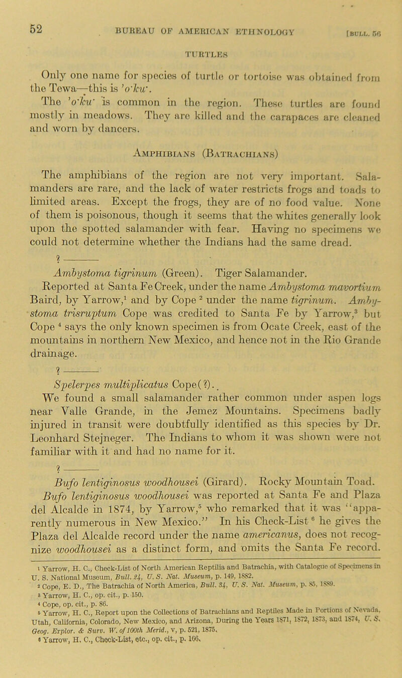 \BVLh. no TURTLES Only one name for sj)ecies of turtle or tortoise was obtained from the Tewa—this Is ’o'kw. The ’o'ku- is common in the region. These turtles are found mostly in meadows. They arc kilhal and the carapaces are cleaned and worn liy dancers. Amphibians (Batrachians) The amphibians of the region are not very important. Sala- manders are rare, and the lack of water restricts frogs and toads to limited areas. Except the frogs, they are of no food value. Xone of them is poisonous, though it seems that the whites generally look upon the spotted salamander with fear. Having no specimens we could not determine whether the Indians had the same dread. ? Ambystoma tigrinum (Green). Tiger Salamander. Reported at Santa Fe Creek, under the name Ambystoma mxivoriium Baird, by Yarrow,^ and by Cope ^ under the name tigrinum. Amby- stoma trisruptum Cope was credited to Santa Fe by Yarrow,® but Cope ^ says the only Imown specimen is from Ocate Creek, east of the mountains in northern New Mexico, and hence not in the Rio Grande drainage. ? —■ Spelerpes multiplicatus Cope(?)., We found a small salamander rather common under aspen logs near Valle Grande, in the Jemez Mountains. Specimens badly injured in transit were doubtfully identified as this species by Dr. Leonhard Stejneger. The Indians to whom it was sho\vn were not famihar with it and had no name for it. ? Bufo lentiginosus woodhousei (Girard). Rocky Mountain Toad. Bufo lentiginosus woodhousei was reported at Santa Fe and Plaza del Alcalde in 1874, by Yarrow,® who remarked that it was appa- rently numerous in New Mexico.” In his Check-List ® he gives the Plaza del Alcalde record under the name americanus, does not recog- nize woodhousei as a distinct form, and omits the Santa Fe record. 1 Yarrow, H. C., Check-List of North American Reptilia and Batrachia, wiUi Catalogne of Specimens in U. S. National Museum, Bull. TJ. S. Nat. Museum, p. 149, 1882. 2 Cope, E. D., The Batrachia of North America, Bull. S4, XT. S. Nat. Museum, p. 85. 1SS9. 2 Yarrow, H. C., op. cit., p. 150. * Cope, op. cit., p. 86. 6 Yarrow, H. C., Report upon the Collections of Batraclilans and Reptiles Made in Portions of Nevada, Utah, California, Colorado, New Mexico, and Arizona, During the Years 1871, 1872, 1873, and 1874, XT. S. Geog. Eiplor. & Surv. W. of 100th Mcrid., v, p. 521, 1875, «Yarrow, H. C., Check-List, etc., op. cit., p. 166,