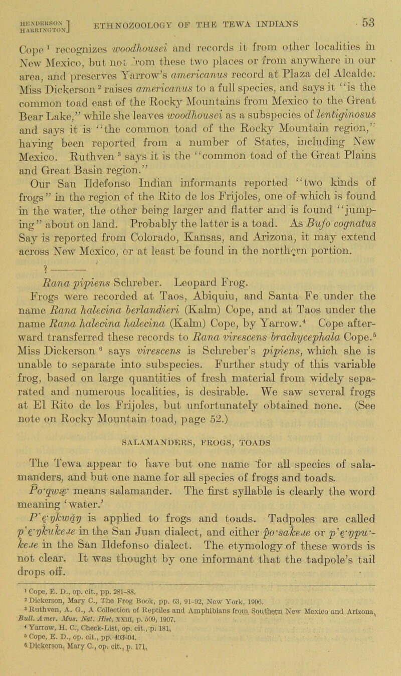 Coj)(>' recognizes woodhousei and records it from other localities in \ew Mexico, but not 'rom these two places or from anywhere iji our area, ami ])reserves Yarrow’s americanus record at Plaza del Alcalde. Miss Dickei-son ^ raises americanus to a full species, and says it “is the common toad east of the Pocky Mountains from Mexico to the Great Bear Lake,” while she leaves woodhousei as a subspecies of lentiginosus and says it is “the common toad of the Kocky Mountain region,” haA-ing been reported from a number of States, including New Mexico. Ruthven ® says it is the “common toad of the Great Plains and Great Basin region.” Our San Ildefonso Indian informants reported “two kinds of frogs” m the region of the Rito de los Frijoles, one of which is found m the water, the other being larger and flatter and is found “jump- ing ” about on land. Probably the latter is a toad. As Bufo cognatus Say is reported from Colorado, Kansas, and Arizona, it may extend across New Mexico, or at least be found in the northern portion. X Rana pipiens Schreber. Leopard Frog. Frogs were recorded at Taos, Abiquiu, and Santa Fe under the name Rana haledna berlandieri (Kahn) Cope, and at Taos under the name Rana haledna haledna (Kahn) Cope, by Yarrow.^ Cope after- ward transferred these records to Rana virescens brachycephala Cope.® Miss Dickeinon ® says virescens is Schreber’s pipiens, which she is unable to separate into subspecies. Further study of this variable frog, based on large quantities of fresh material from widely sepa- rated and numerous locahties, is deshable. We saw several frogs at El Rito de los Frijoles, but unfortunately obtained none. (See note on Rocky Mountam toad, page 52.) SALAMANDERS, FROGS, TOADS The Tewa appear to have but one name for all species of sala- manders, and but one name for aU species of frog-s and toads. Po'qws^' means salamander. The first syllable is clearly the word meaning ‘water.’ P'i'ykwqy is apphed to frogs and toads. Tadpoles are called p'^'-glcuTcede in the San Juan dialect, and either po'salcede or p^^'ypw- Tce-ie in the San Ildefonso dialect. The etymology of these words is not clear. It was thought by one informant that the tadpole’s tail drops off. • Cope, E. D., op. clt., pp. 281-88. 2 Dickerson, Mary C., The Frog Book, pp. 03, 91-92, New York, 1900. 2 Ruthven, A. G., A Collection of Reptiles an<l Amphibians from Soittliern New Mexico and Arizona^ Bull. Amer. Mut. Nat. Hist, xxin, p. 509, 1907. * Yarrow, H. C., Check-List, op. cit., p, 181, ‘ Cope, E. D., op. cit., pp. 4ftT-04. «Dickerson, Mary C., op, clt., p. 171,