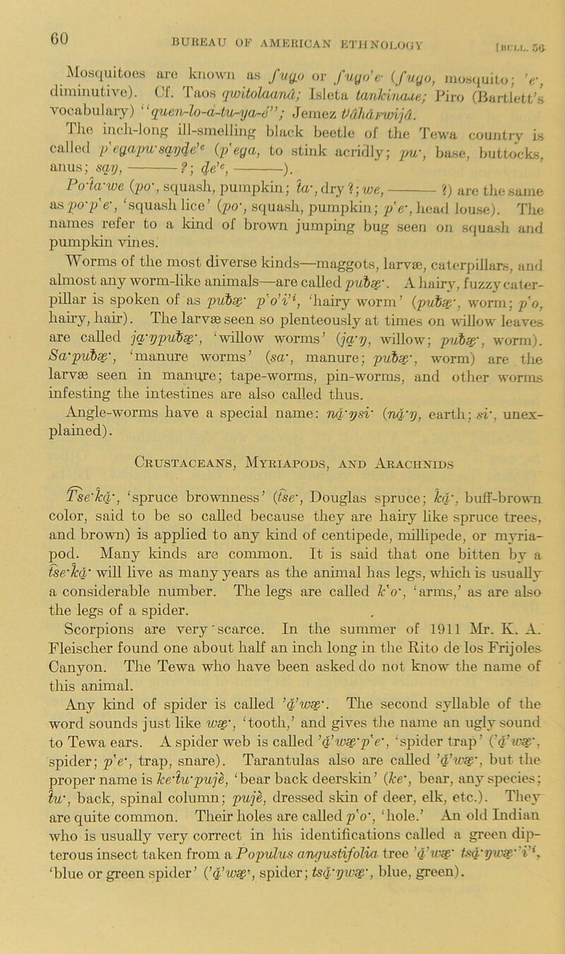 I Bi i.i.. 5a Mosquitoes are kiunvii as f 1x0,0 or fuyo’e- {fvgo, Jiiosc^uito; ’r, diminutive). Clf. Taos qmitolaand; Isleta tanidiuue; Piro (Baillett’s vocabulary) “quen-lo-d-tu-ya-e”; Jemez Mhlt'wij/l. Tile lucli-loiif^ ill-smelliiiff black beetle oJ tlie Tewa country is called p'egapu-sqy4e’‘ (p'ega, to stink acridly; jnr, base, buttocks, anus; say, 4d‘, ). Po-ia-we (po', squash, pumpkin; toqdry ?; we, '() are tliesame as po-p'e-, ‘squash lice’ (po-, squash, pumpkin; p'e', head louse). The names refer to a kind of brown jumping bug .seen on squasli and pumpldn vmes. Worms of the most diverse kinds—maggots, larvae, caterpillars, and almost any worm-like animals—are called puisg.'. A hair}^, fuzzy cater- pillar is spoken of as puix- po’i’\ ‘hairy worm’ (put^y, worm; p'o, hairy, hah). The larvae seen so plenteously at times on willow leaves are called jq-ypuise', ‘-willow worms’ {jq-y, willow; puix', worm). Sa-put^-, ‘manure worms’ (sa‘, manure; pulx-, worm) are the larvae seen in manure; tape-worms, pin-worms, and other worms infesting the intestines are also called thus. Angle-worms have a special name: nq'ysi' {nq'y, earth; si', unex- plamed). Crustaceans, Myriapods, and Araciinid.s Tse'lc q', ‘spruce brownness’ (the', Douglas spruce; hi', buff-brown color, said to be so called because they are hairy like spruce trees, and brown) is applied to any kind of centipede, millipede, or myria- pod. Many lands are common. It is said that one bitten by a tse'Tcq' will hve as many years as the animal has legs, which is usually a considerable number. The legs are called Yo', ‘arms,’ as are also the legs of a spider. Scorpions are very'scarce. In the summer of 1911 ^Ii'. K. A. Fleischer found one about half an inch long in the Rito de los Frijoles Canyon. The Tewa who have been asked do not know the name of this animal. Any kind of spider is called ’q’ws^'. The second syllable of the word sounds just like w^‘, ‘tooth,’ and gives the name an ugly sound to Tewa ears. A spider web is called ’q’w^'p'e', ‘spider trap’ i’q’wx', spider; p'c, trap, snare). Tarantulas also are called ’q'xcse', but the proper name is‘bear back deerskin’ Qce‘, bear, any species; tw, back, spinal column; puje, dressed skin of deer, elk, etc.). The}^ are quite common. Their holes are called p'o', ‘hole.’ An old Indian who is usually very correct in his identifications called a green dip- terous insect taken from a Populus anqustifolm tree tsq'ywss' i’*, ‘blue or green spider’ {’q’w^', spider; tsq'yws^', blue, green).