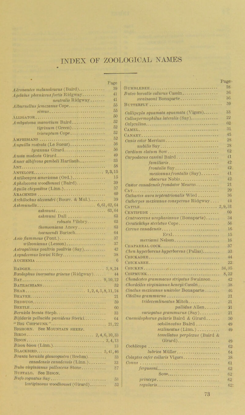 INDEX OF ZOOIX)GTCAL NAMES Page Aeronautes melanoleucus (Baird) 39 Aoflaiuft phmicnis forlis Ridgway 'll neulralis Uidgway 41 Alburnellus jttnezanus Cope 55 simus 55 Alugator 50 Ambt/sloma mavortiuvi Baird 52 ligriiium (Green) 52 Irisruplum Cope 52 Amphibians 52 A nguilla roslrata (Le Sueur) 56 tyrannus Girard 56 Anota modesla Girard 49 Anser albifrons gambeli Hai tlaub 33 Ant 58 Antelope 2,3,15 Antilocapra americana (Ord.) 15 Aphdocoma woodhousei (Baird) 39 Aguila chrysa'eios CLkm.) 37 -Arachnids 60 Archilochus aleiandri (Bowre. & Mul.) 39 Ashmunella 6,61,62,64 ashmuni 63,64 ashmuni Dali 63 robusla Pilsbry 63 thomsoniana Ancey 63 townsevdi Bartsch 64 Asia flammeus (Pont.) 37 wilsonianus (hessoa) 37 Astragalinus psallria psaltria (Say) 42 Asyndesmus lewisi Riley 38 Auchenia 6 Badger 5,8,24 Bxolophus inornalus griseus (Ridgway) 44 Bat 9,10,12 Bateachians 52 Bear 1,2,4,5,8,11,24 Beaver 21 Bedbugs 59 Beetle GO Sernicla brenta Stoph 33 Biftdaria pdlncida parvidens Sterki 04 “Big Chipmunk” 21,22 Bighorn. See Mountain sheep. Bhids 2,4,0,10,33 Bison 3,4,13 Bison bison (Linn.) 13 Blackbird 5,41,46 BrarUa bernicla glaucogaslra ( Brehm) 33 canadensis canadensis (hinn.) 33 Bubo virginianus pallescens Stone 37 Buffalo. See Bison. Bu/o cognalus Say 53 knfiginosus woodhousei (Girard) 52 Page ■Bumbi.ebee 58 Buleo borealis calurus Cassin 30 swainsoni Bonaparte 30 Butterfly 59 Callipepla squamala sqnamata (Vigors) 33 CallospermopMlus lateralis (Say) 22 Calyculina 02 Camel 31 Canary 45 Canis cstor Merriam 28 nubilis Say 28 Cardium elalvm Sow 62 Carpodacus cassini Baird 41 familiar is 42 /ronialis Say 42 . rnexicanusfrontalis (Say) 41 o5sci/ri/.5 Nobis 42 Castor canadensisfrondator Mearns 21 Cat 29 Catharles aura septentrionalis AVied 36 Catherpes rnexicanus conspcrsus Ridgway 44 Cattle 2,9,31 Centipede 60 Centrocercus urophasianus (Bonajiarte) 34 Ceralichlhys stcrletus Cope 56 Cenms canadensis IS Erxl 15 mcrriaini Nelson 16 Chaparral cock 37 Chen hyperboreus hyperborevs (Pallas) 33 Chickadee 44 Chickaree 22 Chicken /. 34,35 Chipmunk 8,22 Chondcst.es grammaevs strigatus Swainson 42 Chordeilcs virginianus henryi Cassin 38 Cinclus rnexicanus unicolor Bonaparte 46 Citellus grammurus 21 tridccemlineatus Mitch 21 pallidus Aden 21 variegatus grammurus (Say) 21 Cnemidophorus gularis Baird & Girard ,50 octolineatus Baird 49 sexlinealus (lAmi.) 49 lessellatus perplexus (Baird & Girard) 49 Cochlicopa 62 lubrica Muller 64 Colaples cafer collaris Vigors 38 Conus 61 fergusoni 02 Sow*. 62 princeps 62 reyularis 62: