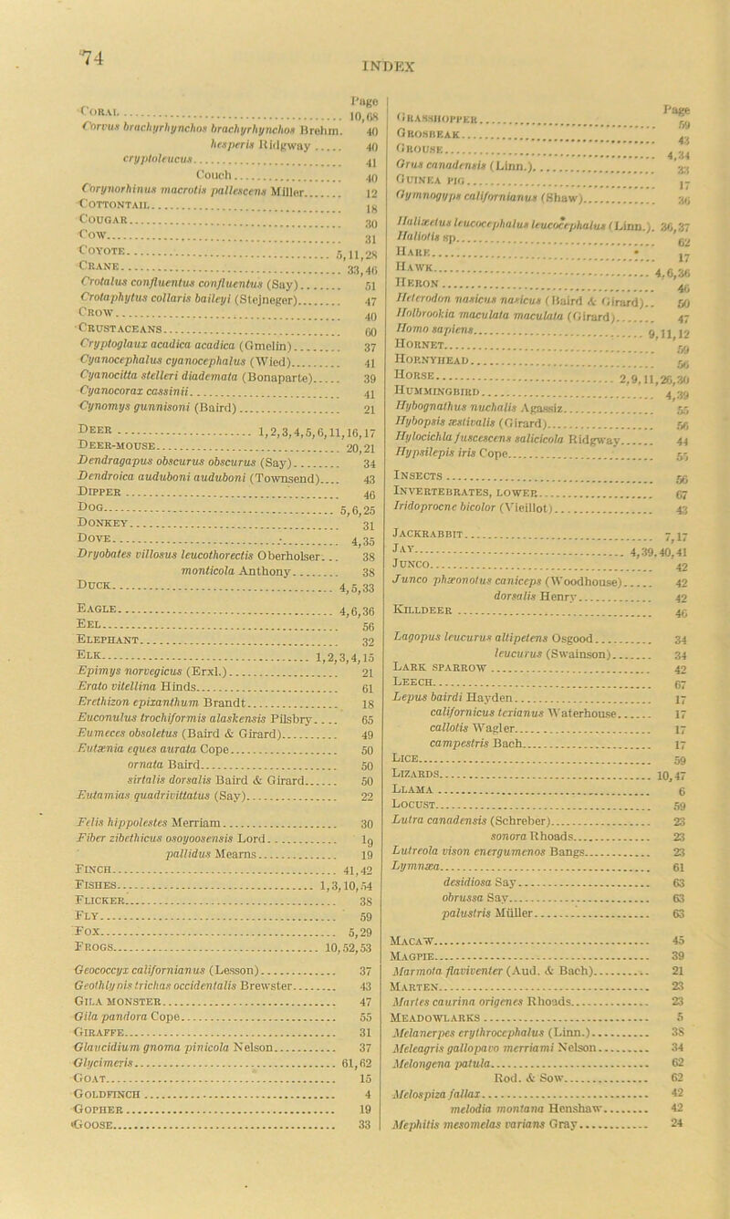 INDEX * ■ Cnrpu.i briichtirliynchns brachyrhynchof Brohm. 40 hex/irria UlilKWay 40 cryploteucua Coucli .)() Coryiiorhinua macrotia pallescena Milli-r 12 ■COTTONTAII Ijj C'OUGAR.. fjQ Cow 3J t'OYOTE ”!.”5,11,'2S 33,40 Ciolalus confluenlus confiuentus (Say) 51 Crolaphylus coUaria baileyi (StejneRor) 47 flow 40 Crustaceans 00 Cryptoglaux acadica acadica (Gmelta) 37 Cyanocephalua cyanocephalua (Wied) 41 Cyanocitta atelleri diadcmata (Bonaparte) 39 Cyanocorax caaainii 4I Cymmya gunniaoni (Baird) 21 I^eer 1,2,3,4,5,6,11,16,17 Deer-mouse 20 21 Dendragapua obacurua obscurua (Say) 34 Dendroictt auduboni auduboni (Toivnsend) 43 Dipper 40 Dog 5^0,25 Donkey 31 Dove 4^35 Dryobatea villoaua leucothorectia Oberholser... 38 moniicola Anthony 38 Duck 4^5^33 Eagle 4,6,36 Eel 56 Elephant 32 Elk 1,2,3,4,15 Epimya norvegwua (Erxl.) 21 Erato vUellina Hinds 61 Erethizon epixanthum Brandt 18 Euconulua trocbiformia alashenaia Pilsbry 65 Eumecea obaoletua (Baird & Girard) 49 Eutsmia equea aurata Cope 50 ornata Baird 50 airtalia doraalia Baird & Girard 50 Eutnmiaa quadrivittatua (Say) 22 FMabippoUatea lAerTiam 30 Fiber zibethicua oaoyooaenaia Lord Ig qmllidua ileams 19 Finch 41,42 Fishes 1,3,10,54 Flicker 3s Fly 59 Fox 5,29 Frogs 10,52,53 Geococcyx californianua (Lesson) 37 Geoihlynia irichaa occidenlalia Brewster 43 Gila monster 47 Gila pandora Cope 55 Giraffe 31 Glavcidium gnoma pinicola Nelson 37 Glycimeria 61,62 Goat 15 Goldfinch 4 Gopher 19 Goose 33 Guasshopper Grosbeak Grouse Orua canadenaia (Linn.) Guinea pig Gymnogypa cati/ornianua (Shaw). Page 59 43 4,34 17 36 Ilalixetua Uucrtcephalualeuxfjcephalua (Linn.). 36.37 IfalioHa sp ’ Hare • ” j, Heron IMcrodov naaicna jtaaicua (Baird A- Girard).. 60 Ilolbrookia maculala maculala (Girard) 47 Homo aaplena o 11 19 Hornet ’ 'gg Hoenyiiead g,; 2,9,11,26,30 Hummingbird 4 Hybognathua nuckalia Agassiz r>r> ITyhopaia xativalia (Girard) ry, Hylocichiajuaceactna aalicicola Ridgway 44 Hypailepia iria Cope ' 5.5 Insects Invertebrates, lower. .. Iridoprocne bicolor (Vieillot) Jackrabbit 7 17 •* AV 4,39.40,41 JUNCO 42 Junco pbscono/us caniccpa (Woodhouse) 42 doraalia Henry 42 Killdeer 40 Lagopua leucurua allipelena Osgood 34 leucurua (Swainson) 34 Lark sparrow 49 Leech 07 Lepua bairdi Hayden 17 californicua tcrianua IVaterhouse 17 callolia Wagler 17 campeatris Bach 17 Lice 59 Lizards 10,47 Llama g Locust ,59 Lutra canadenaia (Schreher) 23 aonora Rhoads 23 Lulreola viaon cnergumcnos Bangs 23 Lymnsea 61 deaidioaa Say 63 ohruasa Say 63 paluatria Muller 63 Macaw 45 MjVGPIE 39 Marmota flavivenler (Aud. A- Bach) 21 M.arten 23 Marlea caurina origenea Rhoads 23 Meadowlarks 5 Melanerpea crylhroccphalua (Linn.) 3S Meleagria gallopaco merriami Nelson 34 Melongena jratula 62 Rod. & Sow 62 Melospiza fallal 42 melodia montana Hcnshaw 42 Mephilia meaomelas variana Gray 24