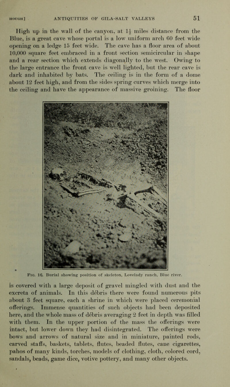 High up in the wall of the canyon, at 1J miles distance from the Blue, is a great cave whose portal is a low uniform arch 60 feet wide opening on a ledge 15 feet wide. The cave has a floor area of about 10,000 square feet embraced in a front section semicircular in shape and a rear section which extends diagonally to the west. Owing to the large entrance the front cave is well lighted, but the rear cave is dark and inhabited by bats. The ceiling is in the form of a dome about 12 feet high, and from the sides spring curves which merge into the ceiling and have the appearance of massive groining. The floor Fig. 16. Burial showing position of skeleton, Lovelady ranch, Blue river. is covered with a large deposit of gravel mingled with dust and the excreta of animals. In this debris there were found numerous pits about 3 feet square, each a shrine in which were placed ceremonial offerings. Immense quantities of such objects had been deposited here, and the whole mass of debris averaging 2 feet in depth was filled with them. In the upper portion of the mass the offerings were intact, but lower down they had disintegrated. The offerings were bows and arrows of natural size and in miniature, painted rods, carved staffs, baskets, tablets, flutes, beaded flutes, cane cigarettes, pahos of many kinds, torches, models of clothing, cloth, colored cord, sandals, beads, game dice, votive pottery, and many other objects.
