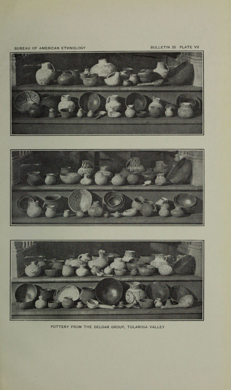 POTTERY FROM THE DELGAR GROUP, TULAROSA VALLEY