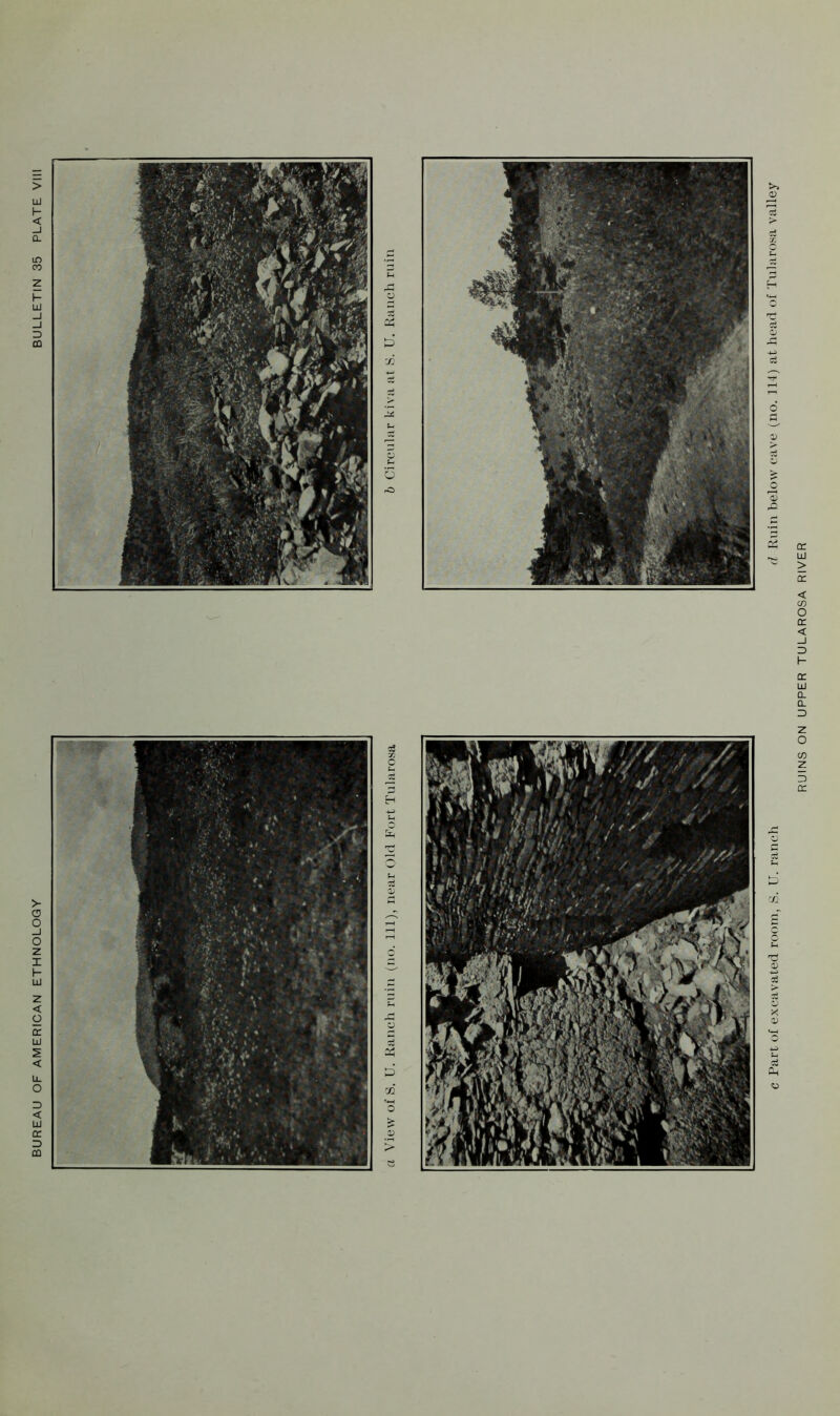 BUREAU OF AMERICAN ETHNOLOGY BULLETIN 35 PLATE VIII c Part of excavated room, S. U. ranch d Ruin below cave (no. 114) at head of Tularosa valley