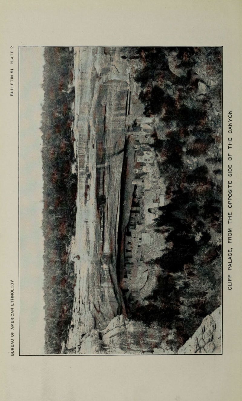 BUREAU OF AMERICAN ETHNOLOGY BULLETIN 51 PLATE 2 CLIFF PALACE, FROM THE OPPOSITE SIDE OF THE CANYON