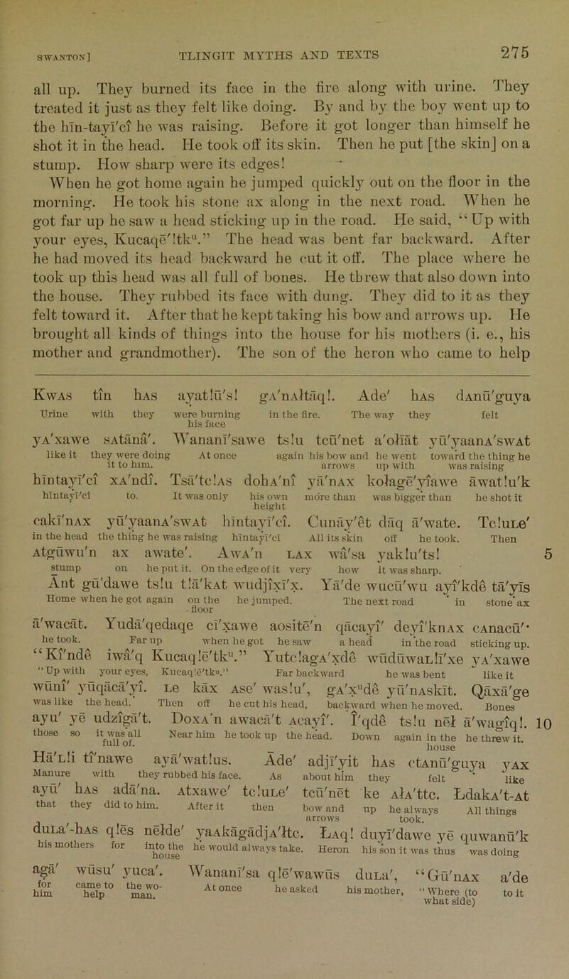 all up. The}' burned its face in the fire along with urine. They treated it just as they felt like doing. By and by the boy went up to the hln-tayi'ci he was raising. Before it got longer than himself he shot it in the head. He took off its skin. Then he put [the skinj on a stump. How sharp were its edges! When he got home again he jumped quickly out on the floor in the morning. He took his stone ax along in the next road. When he got far up he saw a head sticking up in the road. He said, “ Up with 3'our eyes, Kucaqe'ltk^*.” The head was bent far backward. After he had moved its head backward he cut it off. The place where he took up this head was all full of bones. He threw that also down into the house. They rubbed its face with dung. They did to it as they felt toward it. After that he kept taking his bow and arrows up. He brought all kinds of things into the house for his mothers (i. e., his mother and grandmother). The son of the heron who came to help Kwas tin Urine with hAS they dAnu'guj'a feit yA xawe like it SAtami'. they were doipg It to him. hintayi'ci XA'ndi. hintayi'cl to. ayatiu's! gA'iiAltaql. Ade' hAs were burning in the fire. The way they his face AA'anani'sawe tsiu tcu'net a'ohat yu'3'aanA'swAt At once again his bow and ho went toward the thing he arrows up with was raising ya'nAx kolagc'yiawe awatiu'k more than was bigger than Tsa'tclAs dohA'ni It was only his own more than was bigger than he shot it height cakfiiAx yiTyaaiiA'swAt hintayi'ci. Cunay'et dfiq a'wate. TcluLe' in the head the thing he was raising hintayi'ci All its skin oil he took. Then Atgfiwu'n ax awate'. Awa'ii lax wa'sa yaklu'ts! ^tump on he put it. On the edge of it very how it was sharp. Ant gu'dawe tsiu tla'kAt wudjixT'x. Ya'de wucu'wu ayi'kde ta'yls Home when he got again on the he jumped. The next road ‘ In stone'ax ■ floor a'waalt. he took. “Ki'ndg “ Up with your eyes, wuni' yuqacfi'yi. was like the head.’ 3’e udziga't. ayu' those Yuda'qedaqe ci'xawe aosite'n qacayi' deyi'knAx cAnacu'* Fnr up when lie got he saw a head in the road sticking up, iwa'q Kucaq!e'tk“.” YutclagA'xde wuduwaLlfxe 3'A'xawe Kucaqle'tku.'’ Far backward he was bent  like it Le kiix Ase' wasiu', gA'x“de 3'u'nAskit. Qaxti'ge Tiien oil he cut his head, backward when he moved. Bones DoxA'n awaca't Acayf. I'qdfi tsiu nei a'wagiql. Near him he took up the head. Down again in the he threw it. it was all full of. Hfi'Lli tl'nawe a3’a'watius. Manure with they rubbed his face. a3'u' hAs ada'na. Atxawe' tcluLe' that they did to him. After it then house tcu'net bow and arrows duLa'-hAs qles neide' yaAkagadjA'ftc. LAq his mothers for into the he would alwavs take, house aga' for hiin WUSU 3’uca. came to the wo- help man. Wanani'sa qle'wawu.s duLa', “Gu'iiax At once he asked his mother, “Where (to what side) 10 Ade' adji'yit hAs ctAiiu'guya 3'Ax As about him they felt ' like ke AlA'ttc. LdakA't-At up he always All things took. duyl'dawe 3'e quvvanu'k Heron his son it was thus was doing a'de to it