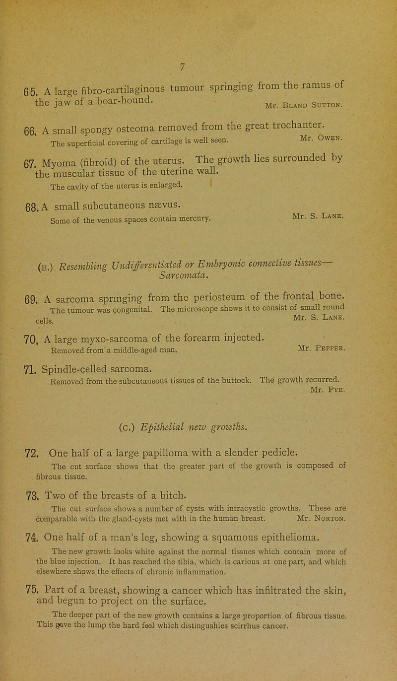 65. A large fibrocartilaginous tumour springing from the ramus of the jaw of a boar-hound. Mr Bland Sutton. 66. A small spongy osteoma removed from the great trochanter. The superficial covering of cartilage is well seen. Mr' Owen. 67. Myoma (fibroid) of the uterus. The growth lies surrounded by the muscular tissue of the uterine wall. The cavity of the uterus is enlarged. 68. A small subcutaneous naevus. Some of the venous spaces contain mercury. Mr. S. Lane. (b.) Resembling Undifferentiated or Embryonic connective tissues— Sarcomata. 69. A sarcoma springing from the periosteum of the frontal bone. The tumour was congenital. The microscope shows it to consist of small round cells. Mr- S‘ Lane' 70, A large myxo-sarcoma of the forearm injected. Removed from a middle-aged man. Mr. Pepper. 71. Spindle-celled sarcoma. Removed from the subcutaneous tissues of the buttock. The growth recurred. Mr. Pye. (c.) Epithelial new growths. 72. One half of a large papilloma with a slender pedicle. The cut surface shows that the greater part of the growth is composed of fibrous tissue. 73. Two of the breasts of a bitch. The cut surface shows a number of cysts with intracystic growths. These are comparable with the gland-cysts met with in the human breast. Mr. Norton. 74. One half of a man’s leg, showing a squamous epithelioma. The new growth looks white against the normal tissues which contain more of the blue injection. It has reached the tibia, which is carious at one part, and which elsewhere shows the effects of chronic inflammation. 75. Part of a breast, showing a cancer which has infiltrated the skin, and begun to project on the surface. The deeper part of the new growth contains a large proportion of fibrous tissue. This gave the lump the hard feel which distingushies scirrhus cancer.