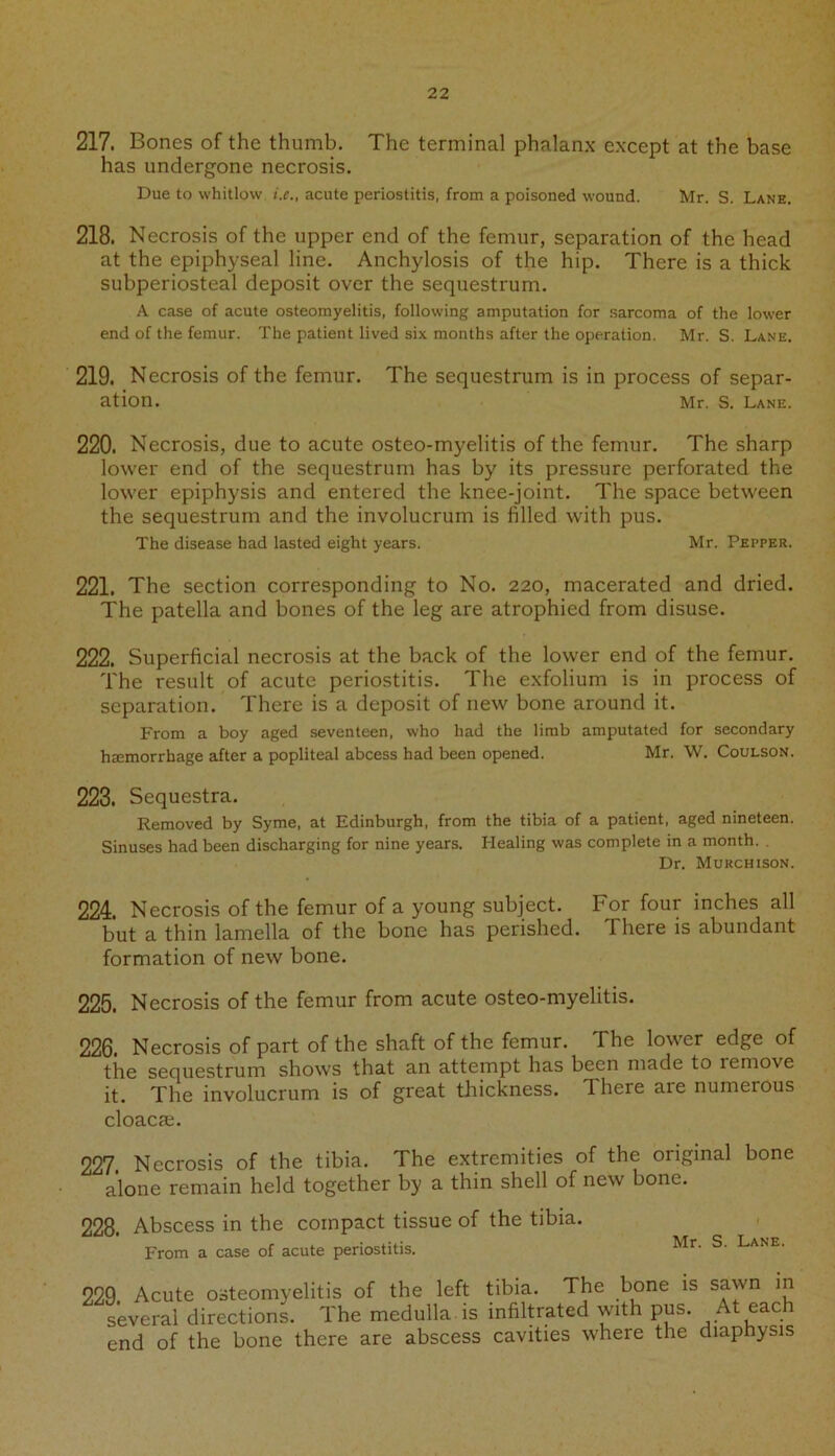 217. Bones of the thumb. The terminal phalanx except at the base has undergone necrosis. Due to whitlow i.e., acute periostitis, from a poisoned wound. Mr. S. Lane. 218. Necrosis of the upper end of the femur, separation of the head at the epiphyseal line. Anchylosis of the hip. There is a thick subperiosteal deposit over the sequestrum. A case of acute osteomyelitis, following amputation for sarcoma of the lower end of the femur. The patient lived six months after the operation. Mr. S. Lane. 219. Necrosis of the femur. The sequestrum is in process of separ- ation. Mr. S. Lane. 220. Necrosis, due to acute osteo-myelitis of the femur. The sharp lower end of the sequestrum has by its pressure perforated the lower epiphysis and entered the knee-joint. The space between the sequestrum and the involucrum is filled with pus. The disease had lasted eight years. Mr. Pepper. 221. The section corresponding to No. 220, macerated and dried. The patella and bones of the leg are atrophied from disuse. 222. Superficial necrosis at the back of the lower end of the femur. The result of acute periostitis. The exfolium is in process of separation. There is a deposit of new bone around it. From a boy aged seventeen, who had the limb amputated for secondary hemorrhage after a popliteal abcess had been opened. Mr. W. Coulson. 223. Sequestra. Removed by Syme, at Edinburgh, from the tibia of a patient, aged nineteen. Sinuses had been discharging for nine years. Healing was complete in a month. Dr. Murchison. 224. Necrosis of the femur of a young subject. For four inches all but a thin lamella of the bone has perished. There is abundant formation of new bone. 225. Necrosis of the femur from acute osteo-myelitis. 226. Necrosis of part of the shaft of the femur. The lower edge of the sequestrum shows that an attempt has been made to iemove it. The involucrum is of great thickness. There are numerous cloacae. 227. Necrosis of the tibia. The extremities of the original bone alone remain held together by a thin shell of new bone. 228. Abscess in the compact tissue of the tibia. From a case of acute periostitis. 229. Acute osteomyelitis of the left tibia. The bone is sawn in several directions. The medulla is infiltrated with pus. At each end of the bone there are abscess cavities where the diaphysis