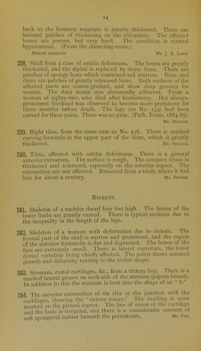 back as the foramen magnum is greatly thickened. There are isolated patches of thickening on the calvarium. The affected bones are porous, but very hard. The condition is termed hyperostosis. (From the dissecting-room.) History unknown. Mr. J. E. Lane. 238. Skull from a case of ostitis deformans. The bones are greatly thickened, and the diploe is replaced by dense bone. There are patches of spongy bone which contained red marrow. Here and there are patches of greatly sclerosed bone. Both surfaces of the affected parts are coarse-grained, and show deep grooves for vessels. The dura mater was abnormally adherent. From a woman of eighty-two, who died after herniotomy. Her always- prominent forehead was observed to become more prominent for three months before death. The legs (see No. 239) had been curved for three years. There was no pain. (Path. Trans. 1884-85). Mr. Silcock. 239. Right tibia, from the same case as No. 238. There is marked curving forwards in the upper part of the bone, which is greatly thickened. Mr. Silcock. 240. Tibia, affected with ostitis deformans. There is a general anterior curvature. The surface is rough. The compact tissue is thickened and sclerosed, especially on the anterior aspect. The extremities are not affected. Removed from a vault, where it had lain for about a century. Mr. Pepper. Rickets. 241. Skeleton of a rachitic dwarf four feet high. The bones of the lower limbs are greatly curved. There is typical scoliosis due to the inequality in the length of the legs. 242. Skeleton of a woman with deformities due to rickets. The frontal part of the skull is narrow and prominent, and the region of the anterior fontanelle is flat and depressed. The bones of the face are extremely small. There is lateral curvature, the lower dorsal vertebrre being chiefly affected. The pelvis shows arrested growth and deformity tending to the trefoil shape. 243. Sternum, costal cartilages, &c., from a rickety boy. There is a marked lateral groove on each side of the sternum (pigeon-breast). In addition to this the sternum is bent into the shape of an “ S.” 244. The anterior extremities of six ribs at the junction with the cartilages, showing the ‘ rickety rosary.’ The swelling is most marked on the pleural aspect. The line of union of the cartilage and the bone is irregular, and there is a considerable amount of soft spongeoid matter beneath the periosteum. Mr. Pye.