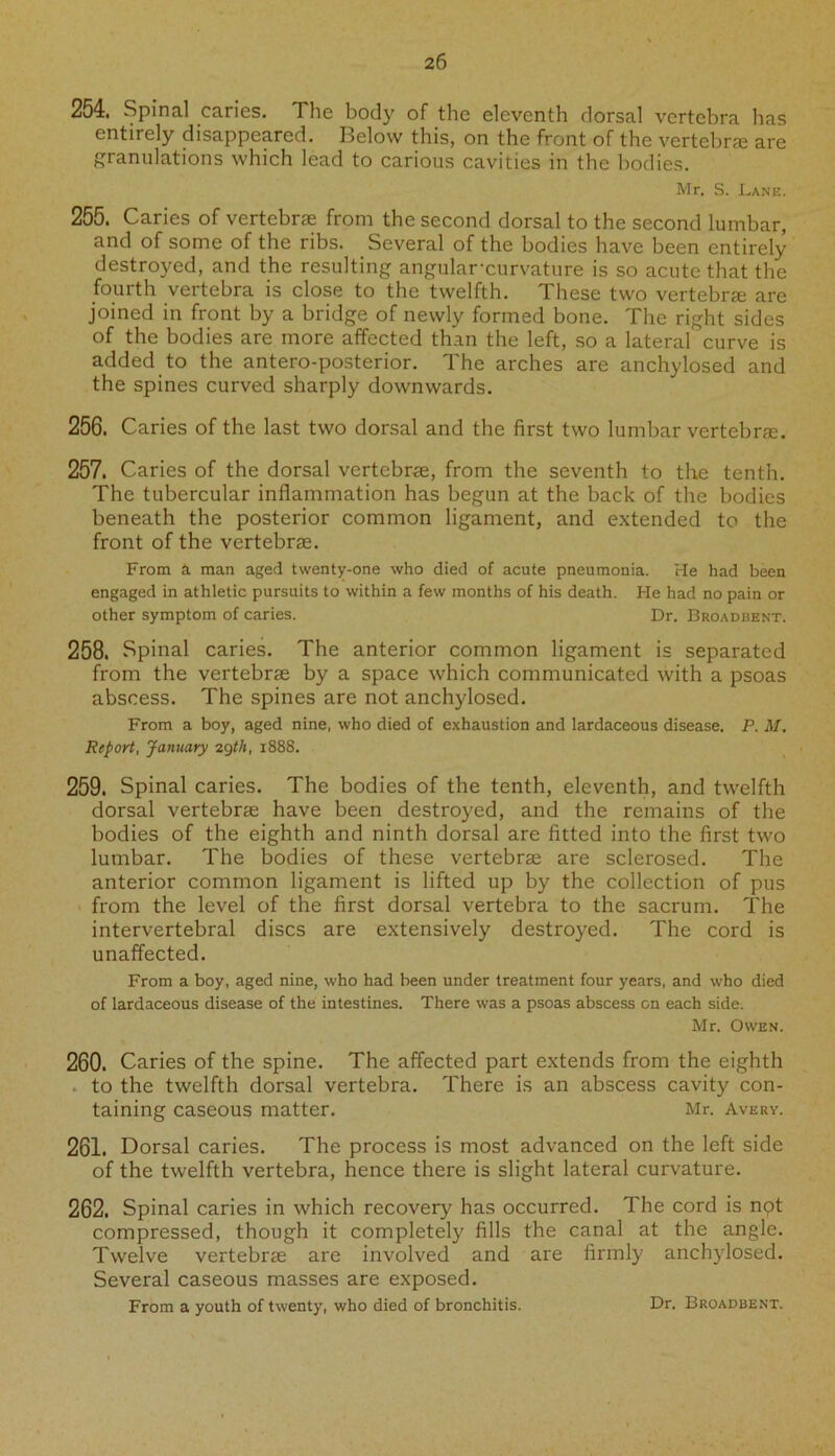 254. Spinal caries. The body of the eleventh dorsal vertebra has entirely disappeared. Below this, on the front of the vertebra are granulations which lead to carious cavities in the bodies. Mr. S. Lane. 255. Caries of vertebrae from the second dorsal to the second lumbar, and of some of the ribs. Several of the bodies have been entirely destroyed, and the resulting angular-curvature is so acute that the fourth vertebra is close to the twelfth. These two vertebrae are joined in front by a bridge of newly formed bone. The right sides of the bodies are more affected than the left, so a lateral curve is added to the antero-posterior. The arches are anchylosed and the spines curved sharply downwards. 256. Caries of the last two dorsal and the first two lumbar vertebrae. 257. Caries of the dorsal vertebrae, from the seventh to the tenth. The tubercular inflammation has begun at the back of the bodies beneath the posterior common ligament, and extended to the front of the vertebrae. From a man aged twenty-one who died of acute pneumonia. He had been engaged in athletic pursuits to within a few months of his death. He had no pain or other symptom of caries. Dr. Broadbent. 258. Spinal caries. The anterior common ligament is separated from the vertebrae by a space which communicated with a psoas abscess. The spines are not anchylosed. From a boy, aged nine, who died of exhaustion and lardaceous disease. P. M. Report, January 2gth, 1888. 259. Spinal caries. The bodies of the tenth, eleventh, and twelfth dorsal vertebrae have been destroyed, and the remains of the bodies of the eighth and ninth dorsal are fitted into the first two lumbar. The bodies of these vertebrae are sclerosed. The anterior common ligament is lifted up by the collection of pus from the level of the first dorsal vertebra to the sacrum. The intervertebral discs are extensively destroyed. The cord is unaffected. From a boy, aged nine, who had been under treatment four years, and who died of lardaceous disease of the intestines. There was a psoas abscess on each side. Mr. Owen. 260. Caries of the spine. The affected part extends from the eighth to the twelfth dorsal vertebra. There is an abscess cavity con- taining caseous matter. Mr. Avery. 261. Dorsal caries. The process is most advanced on the left side of the twelfth vertebra, hence there is slight lateral curvature. 262. Spinal caries in which recovery has occurred. The cord is npt compressed, though it completely fills the canal at the angle. Twelve vertebrse are involved and are firmly anchylosed. Several caseous masses are exposed. From a youth of twenty, who died of bronchitis. Dr. Broadbent.