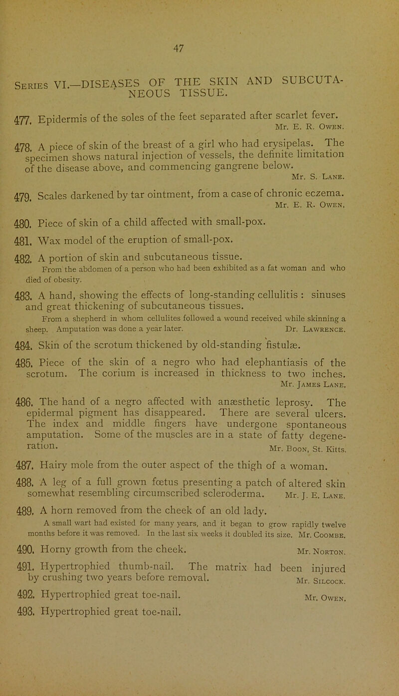 Series VI.—DISEASES OF THE SKIN AND SUBCUTA- NEOUS TISSUE. 477 Epidermis of the soles of the feet separated after scarlet fever. F Mr. E. R. Owen. 478. A piece of skin of the breast of a girl who had erysipelas. The specimen shows natural injection of vessels, the definite limitation of the disease above, and commencing gangrene below. Mr. S. Lane. 479. Scales darkened by tar ointment, from a case of chronic eczema. Mr. E. R. Owen, 480. Piece of skin of a child affected with small-pox. 481. Wax model of the eruption of small-pox. 482. A portion of skin and subcutaneous tissue. From the abdomen of a person who had been exhibited as a fat woman and who died of obesity. 483. A hand, showing the effects of long-standing cellulitis : sinuses and great thickening of subcutaneous tissues. From a shepherd in whom cellulites followed a wound received while skinning a sheep. Amputation was done a year later. Dr. Lawrence. 484. Skin of the scrotum thickened by old-standing fistulas. 485. Piece of the skin of a negro who had elephantiasis of the scrotum. The corium is increased in thickness to two inches. Mr. James Lane. 486. The hand of a negro affected with anaesthetic leprosy. The epidermal pigment has disappeared. There are several ulcers. The index and middle fingers have undergone spontaneous amputation. Some of the muscles are in a state of fatty degene- ration. Mr. Boon, St. Kitts. 487. Hairy mole from the outer aspect of the thigh of a woman. 488. A leg of a full grown foetus presenting a patch of altered skin somewhat resembling circumscribed scleroderma. Mr. j. E. Lane. 489. A horn removed from the cheek of an old lady. A small wart had existed for many years, and it began to grow rapidly twelve months before it was removed. In the last six weeks it doubled its size. Mr. Coombe. 490. Horny growth from the cheek. Mr. Norton. 491. Hypertrophied thumb-nail. The matrix had been injured by crushing two years before removal. Mr silcock. 492. Hypertrophied great toe-nail. 493. Hypertrophied great toe-nail. Mr. Owen.