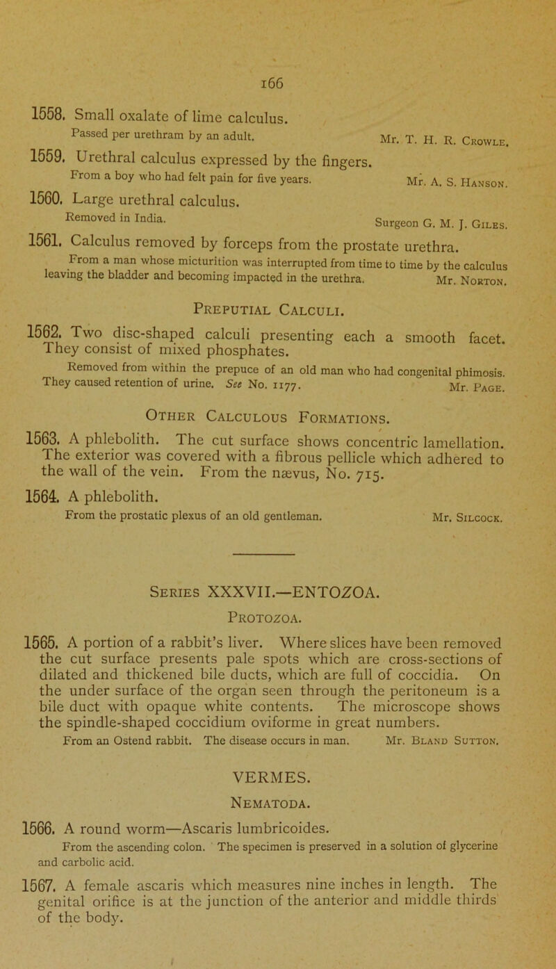 1558. Small oxalate of lime calculus. Passed per urethram by an adult. Mr. T. H. R. Crowle. 1559. Urethral calculus expressed by the fingers. From a boy who had felt pain for five years. Mr. A. S. Hanson 1560. Large urethral calculus. Removed in India. Surgeon G. M. J. Giles. 1561. Calculus removed by forceps from the prostate urethra. From a man whose micturition was interrupted from time to time by the calculus leaving the bladder and becoming impacted in the urethra. Mr. Norton. Preputial Calculi. 1562. Two disc-shaped calculi presenting each a smooth facet. They consist of mixed phosphates. Removed from within the prepuce of an old man who had congenital phimosis. They caused retention of urine. See No. 1177. Mr. Page Other Calculous Formations. 1563. A phlebolith. The cut surface shows concentric lamellation. The exterior was covered with a fibrous pellicle which adhered to the wall of the vein. From the naevus, No. 715. 1564. A phlebolith. From the prostatic plexus of an old gentleman. Mr. Silcock. Series XXXVII.—ENTOZOA. Protozoa. 1565. A portion of a rabbit’s liver. Where slices have been removed the cut surface presents pale spots which are cross-sections of dilated and thickened bile ducts, which are full of coccidia. On the under surface of the organ seen through the peritoneum is a bile duct with opaque white contents. The microscope shows the spindle-shaped coccidium oviforme in great numbers. From an Ostend rabbit. The disease occurs in man. Mr. Bland Sutton. VERMES. Nematoda. 1566. A round worm—Ascaris lumbricoides. From the ascending colon. The specimen is preserved in a solution of glycerine and carbolic acid. 1567. A female ascaris which measures nine inches in length. The genital orifice is at the junction of the anterior and middle thirds of the body.
