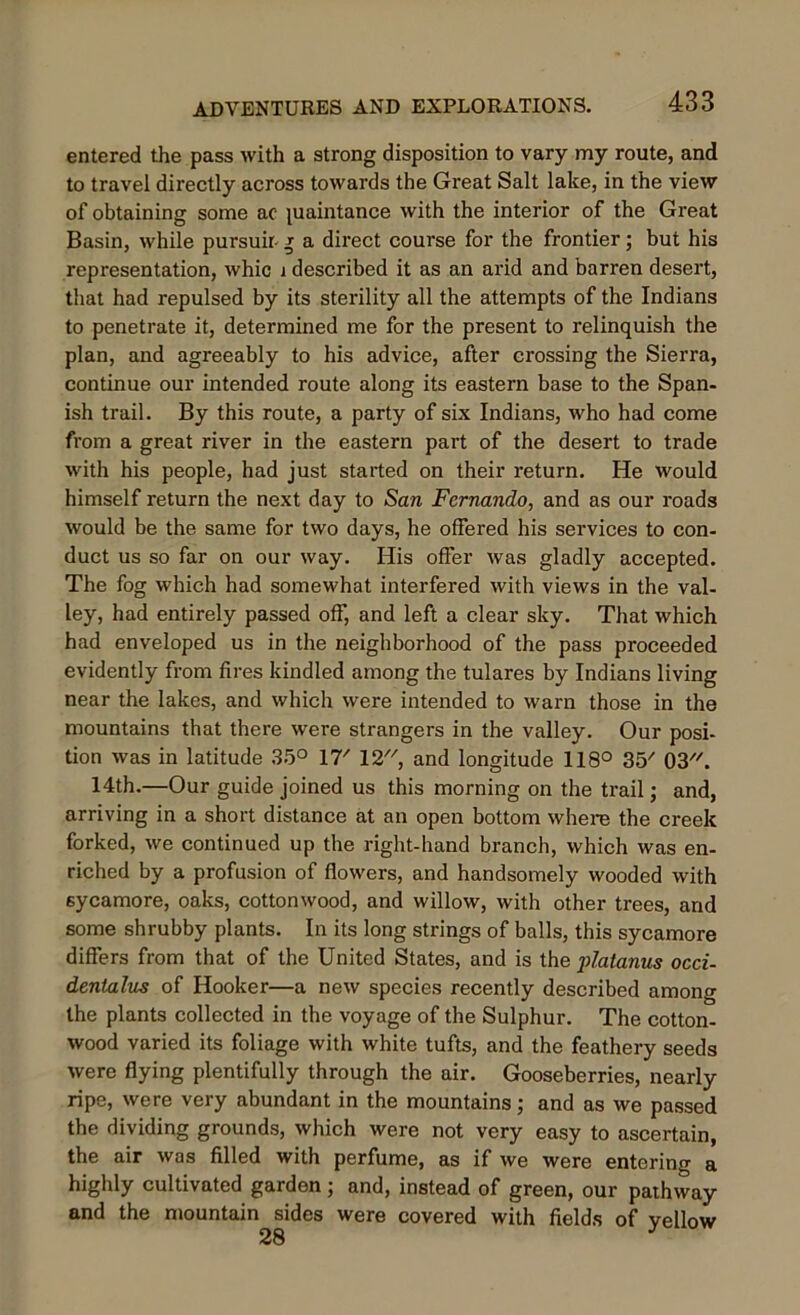 entered the pass with a strong disposition to vary my route, and to travel directly across towards the Great Salt lake, in the view of obtaining some ac piaintance with the interior of the Great Basin, while pursuir g a direct course for the frontier; but his representation, whic j described it as an arid and barren desert, that had repulsed by its sterility all the attempts of the Indians to penetrate it, determined me for the present to relinquish the plan, and agreeably to his advice, after crossing the Sierra, continue our intended route along its eastern base to the Span- ish trail. By this route, a party of six Indians, who had come from a great river in the eastern part of the desert to trade with his people, had just started on their return. He would himself return the next day to San Fernando, and as our roads would be the same for two days, he offered his services to con- duct us so far on our way. His offer was gladly accepted. The fog which had somewhat interfered with views in the val- ley, had entirely passed off, and left a clear sky. That which had enveloped us in the neighborhood of the pass proceeded evidently from fires kindled among the tulares by Indians living near the lakes, and which were intended to warn those in the mountains that there were strangers in the valley. Our posi- tion was in latitude 35° 17/ 12, and longitude 118° 35' 03//. 14th.—Our guide joined us this morning on the trail; and, arriving in a short distance at an open bottom where the creek forked, we continued up the right-hand branch, which was en- riched by a profusion of flowers, and handsomely wooded with sycamore, oaks, cottonwood, and willow, with other trees, and some shrubby plants. In its long strings of balls, this sycamore differs from that of the United States, and is the jriatanus occi- dentalus of Hooker—a new species recently described among the plants collected in the voyage of the Sulphur. The cotton- wood varied its foliage with white tufts, and the feathery seeds were flying plentifully through the air. Gooseberries, nearly ripe, were very abundant in the mountains; and as we passed the dividing grounds, which were not very easy to ascertain, the air was filled with perfume, as if we were entering a highly cultivated garden; and, instead of green, our pathway and the mountain sides were covered with fields of yellow