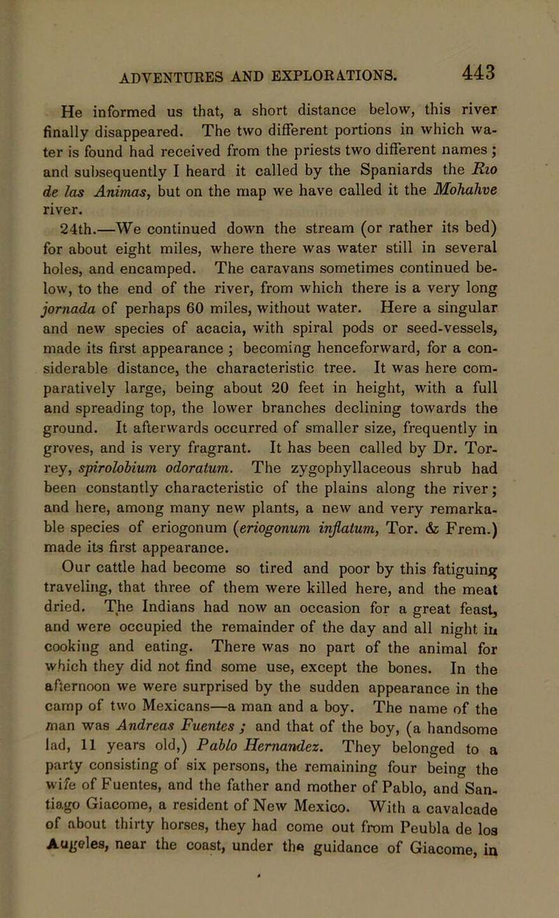 He informed us that, a short distance below, this river finally disappeared. The two different portions in which wa- ter is found had received from the priests two different names ; and subsequently I heard it called by the Spaniards the Rio de las Animas, but on the map we have called it the Mohahve river. 24th.—We continued down the stream (or rather its bed) for about eight miles, where there was water still in several holes, and encamped. The caravans sometimes continued be- low, to the end of the river, from which there is a very long jornada of perhaps 60 miles, without water. Here a singular and new species of acacia, with spiral pods or seed-vessels, made its first appearance ; becoming henceforward, for a con- siderable distance, the characteristic tree. It was here com- paratively large, being about 20 feet in height, with a full and spreading top, the lower branches declining towards the ground. It afterwards occurred of smaller size, frequently in groves, and is very fragrant. It has been called by Dr. Tor- rey, spirolobium odoratum. The zygophyllaceous shrub had been constantly characteristic of the plains along the river; and here, among many new plants, a new and very remarka- ble species of eriogonum (eriogonum injlatum, Tor. & Frem.) made its first appearance. Our cattle had become so tired and poor by this fatiguing traveling, that three of them were killed here, and the meat dried. The Indians had now an occasion for a great feast, and were occupied the remainder of the day and all night in cooking and eating. There was no part of the animal for which they did not find some use, except the bones. In the afternoon we were surprised by the sudden appearance in the camp of two Mexicans—a man and a boy. The name of the /nan was Andreas Puentes ; and that of the boy, (a handsome lad, 11 years old,) Pablo Hernandez. They belonged to a party consisting of six persons, the remaining four being the wife of Fuentes, and the father and mother of Pablo, and San- tiago Giacome, a resident of New Mexico. With a cavalcade of about thirty horses, they had come out from Peubla de los Augeles, near the coast, under the guidance of Giacome, in